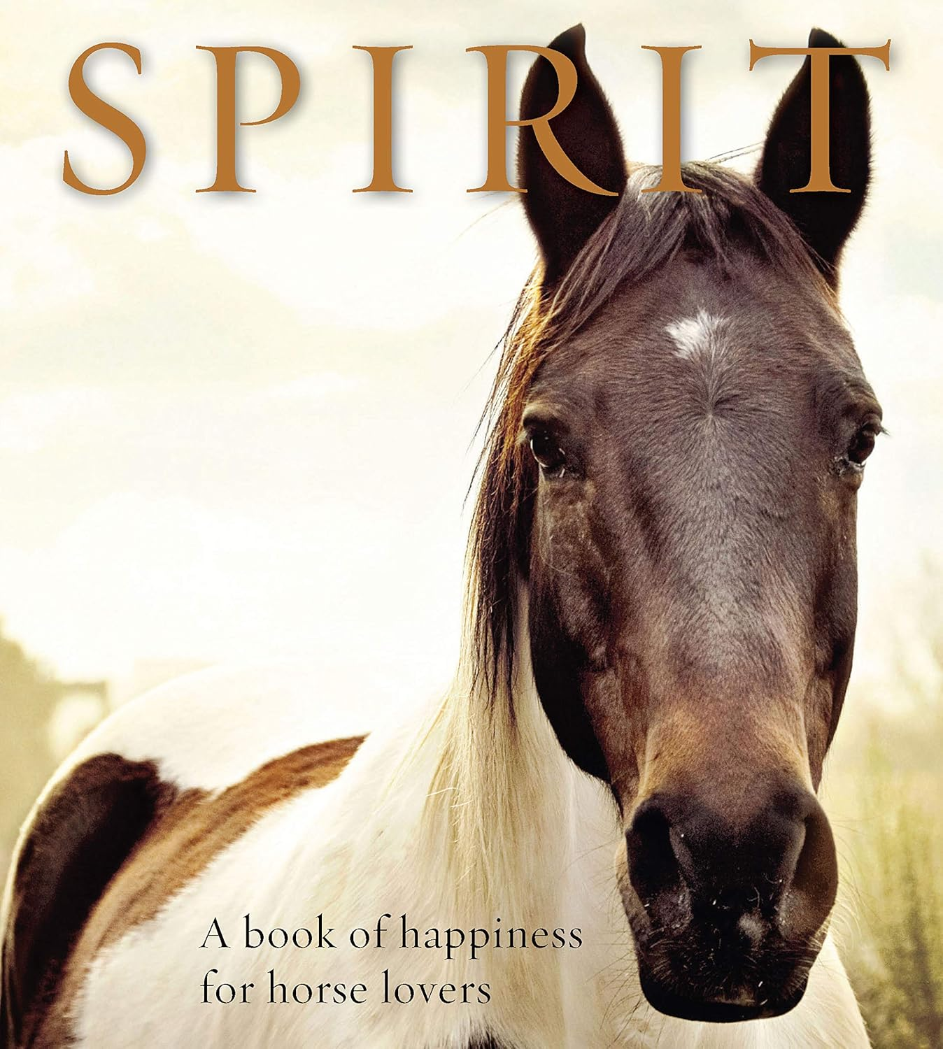 Spirit: a Book of Happiness for Horse Lovers