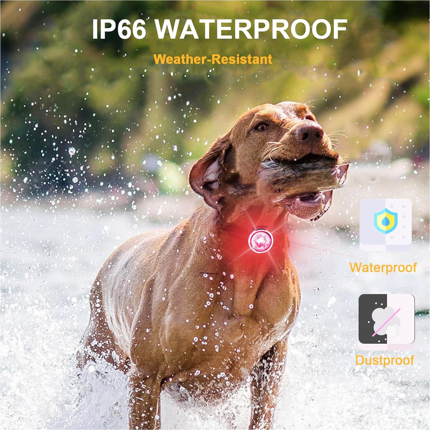 Tubasion 2-Pack Dog Lights for Night Walking, Upgraded 8 Modes Rechargeable Dog Collar Lights for Nighttime Clip On, IP66 Waterproof and Silicon Band Safety Lights for Dog Collars image number 2