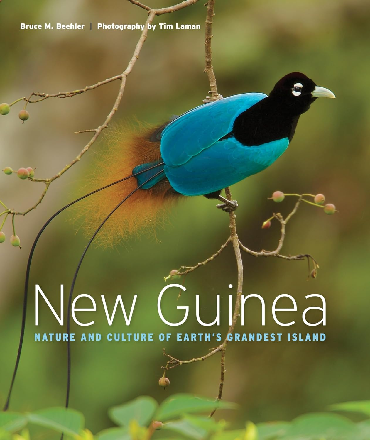 New Guinea: Nature and Culture of Earth'S Grandest Island