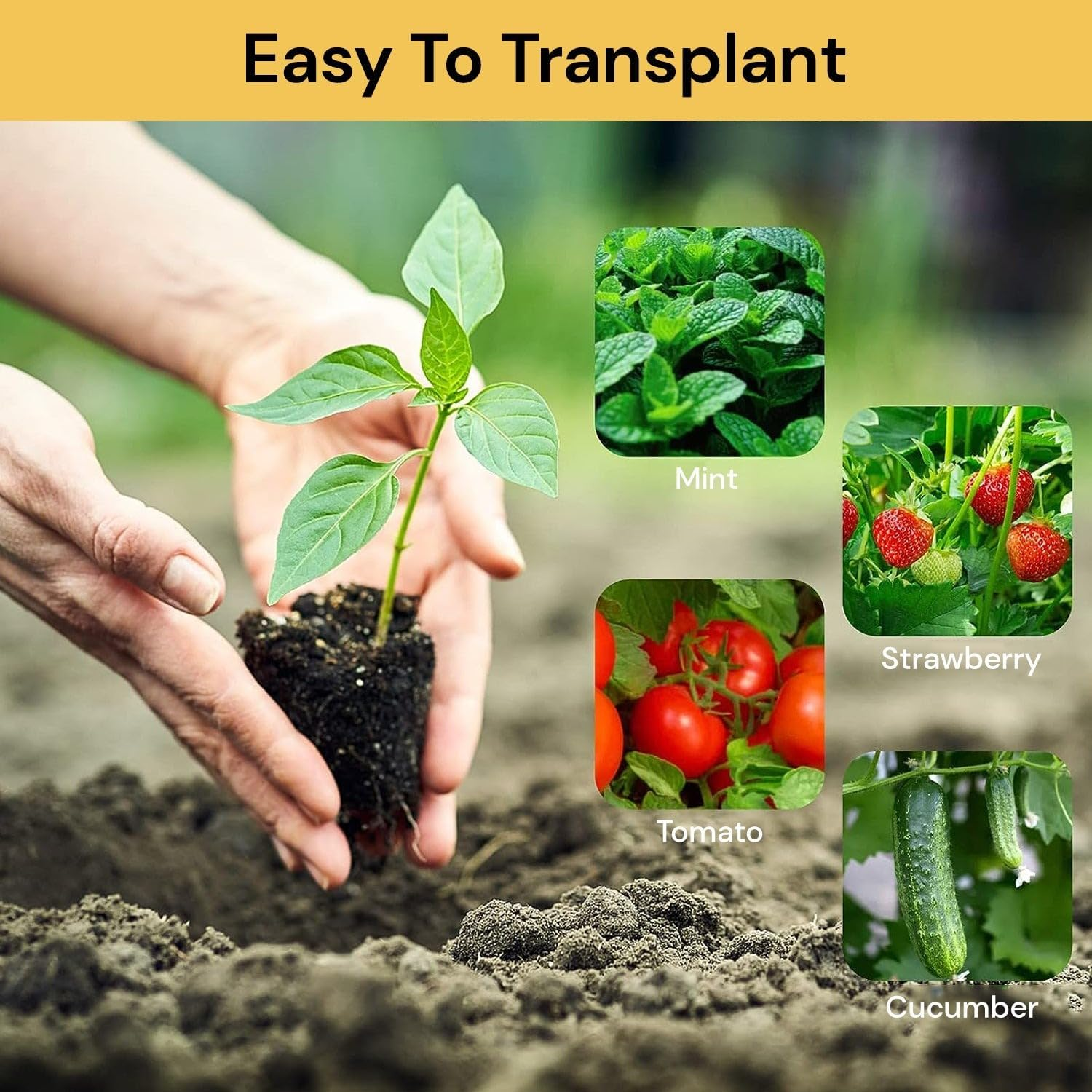 EZONEDEAL 13 Pack Seed Starter Tray 156 Cell Plant Starter Kit Growing Trays Seed Germination Kit with Humidity Dome and Base for Greenhouse Grow Wheatgrass Hydroponic Garden Tools (12 Cells per Tray) image number 3