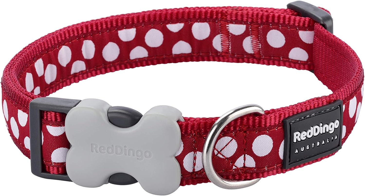 Red Dingo Dog Collar, Blue Spots on Brown, 15Mm SMALL