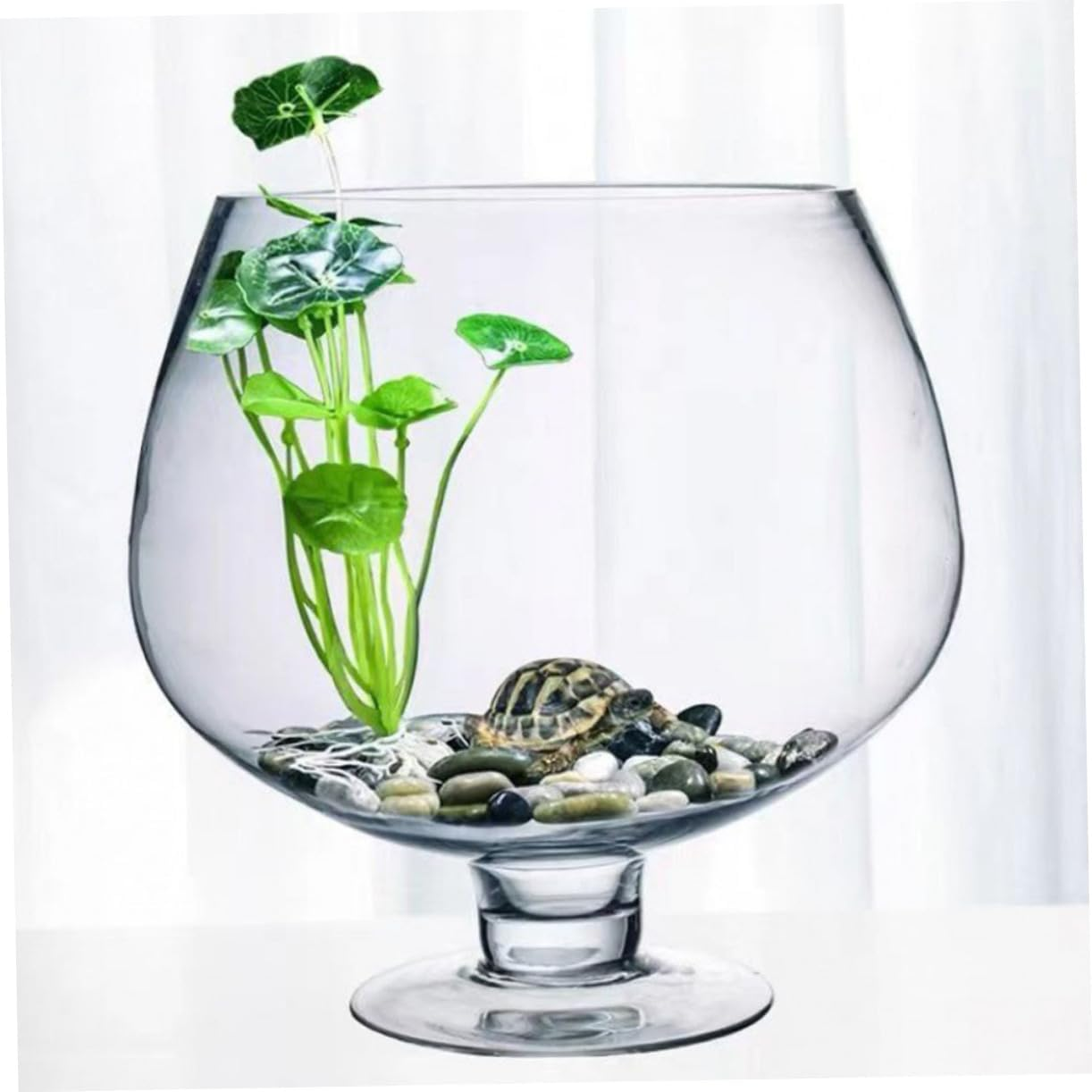 ABOOFAN Transparent Betta Tank Glass Fish Bowl Vase for Goldfish Small Aquatic Pets Eye Catching Tabletop Decoration for Home Office Versatile Capacity image number 6