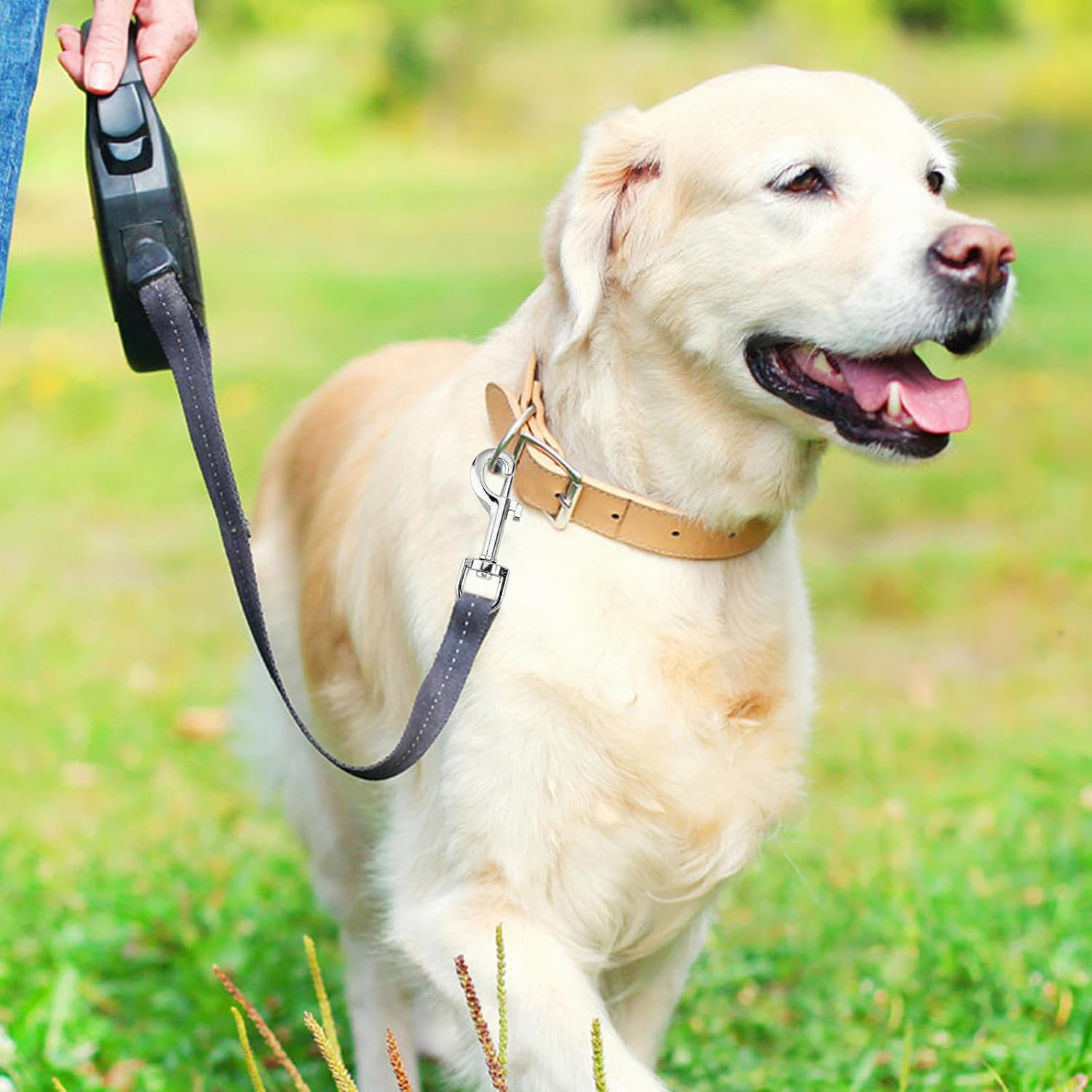 10Pcs Swivel Snap Hooks, Heavy Duty Metal Flag Clips for Flagpole Rope, Dog Leash Clip Collar Hardware, Clasp for Pet Leash, Key Chain, 3.1X0.6In image number 1