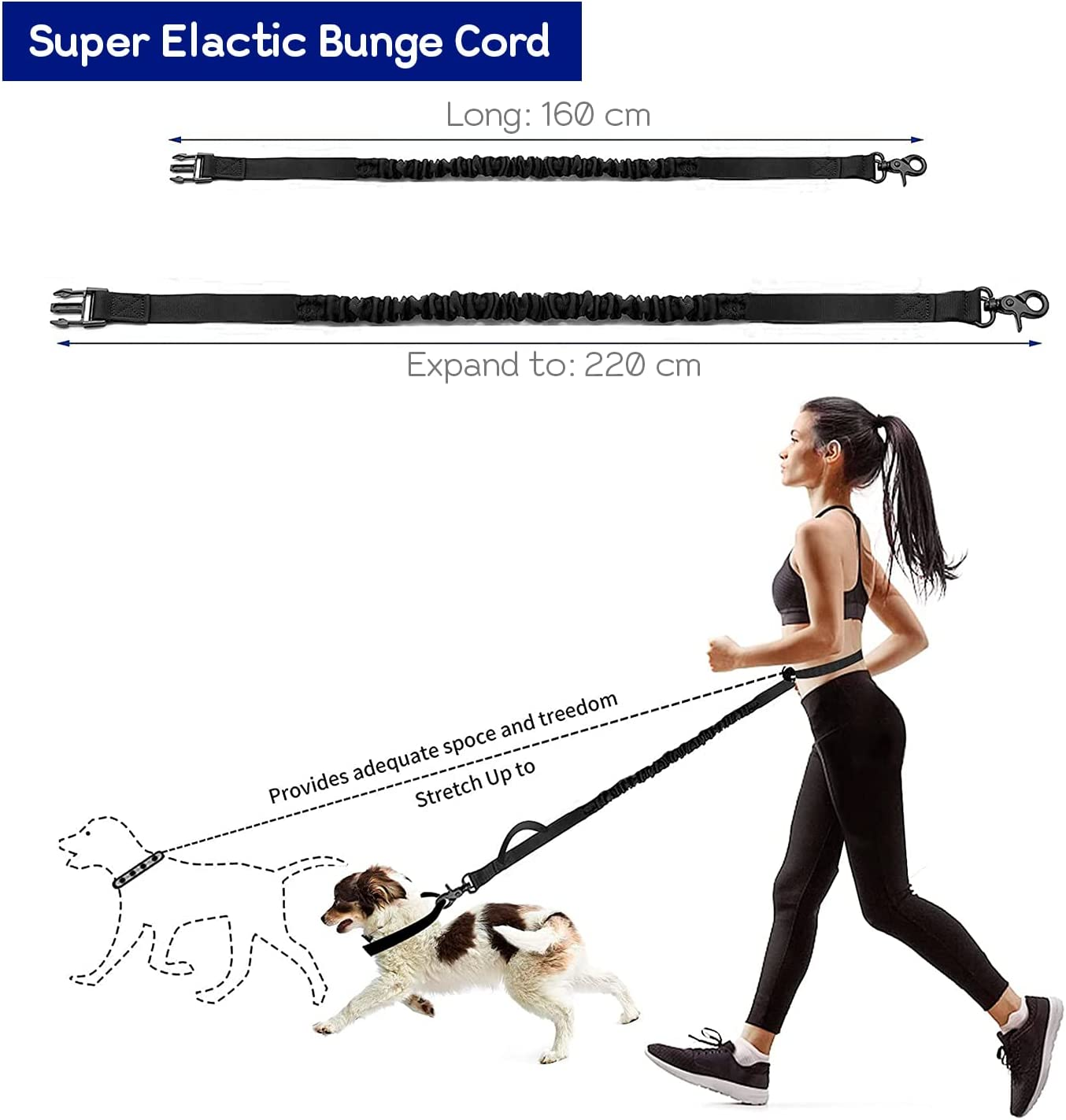Edipets, Jogging Lead Dogs, Hands-Free, Running, Hiking, Webbing, Anti-Stress, Reflective, 160-220 Cm (Black) image number 5