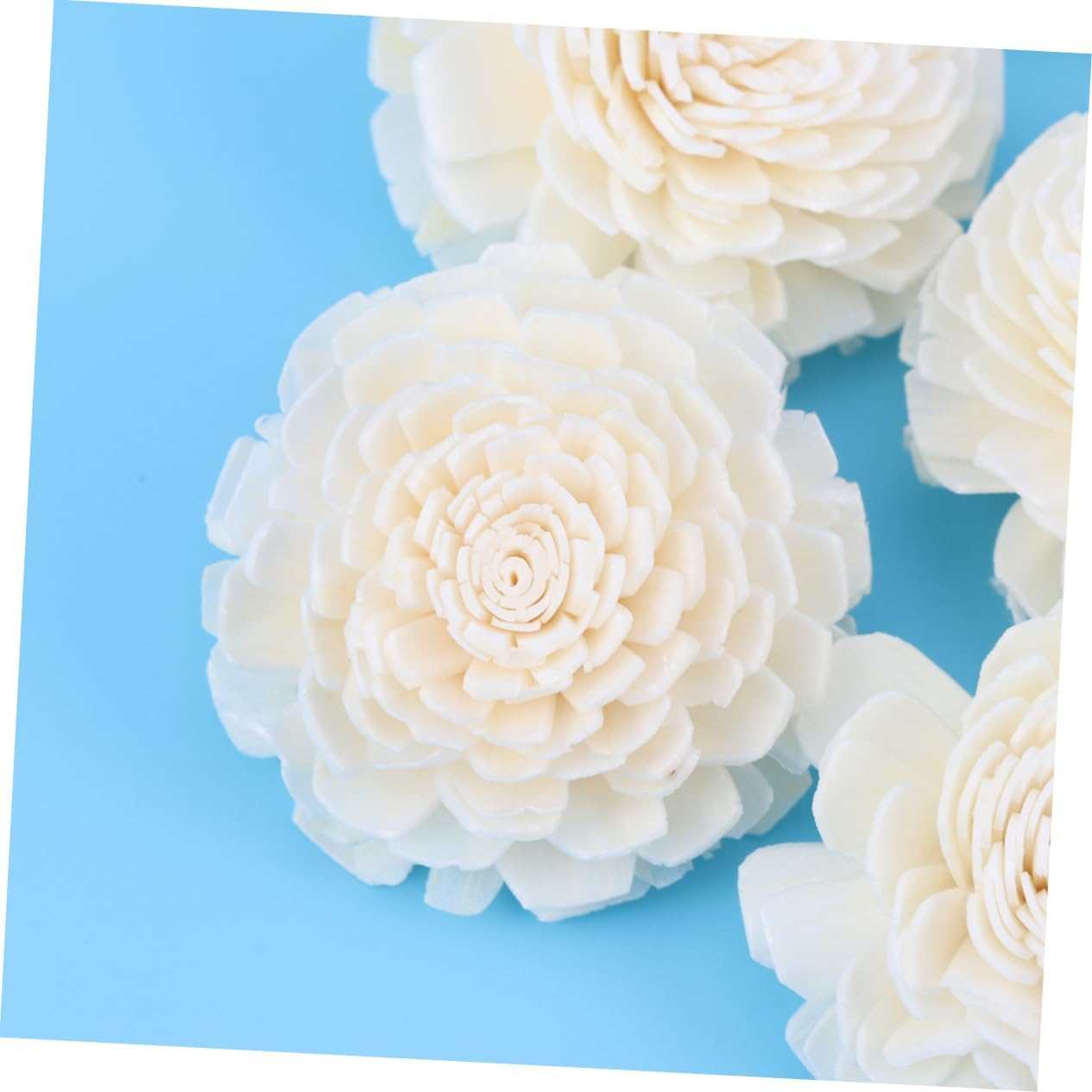 30Pcs Chrysanthemum Scented Rattan Reeds Sticks Natural Fragrance Aroma Diffuser Reeds Essential Oil Sticks for Home Decor image number 1