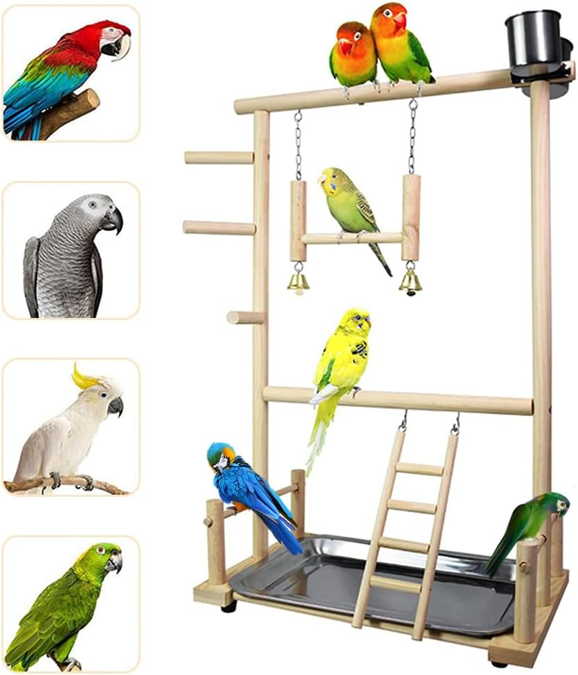 Bird Playground Parrot with Feeding Cup, Natural and Safe Wooden Swing Climbing Ladder, Stainless Steel Basin Parrot for Home Room Desktop