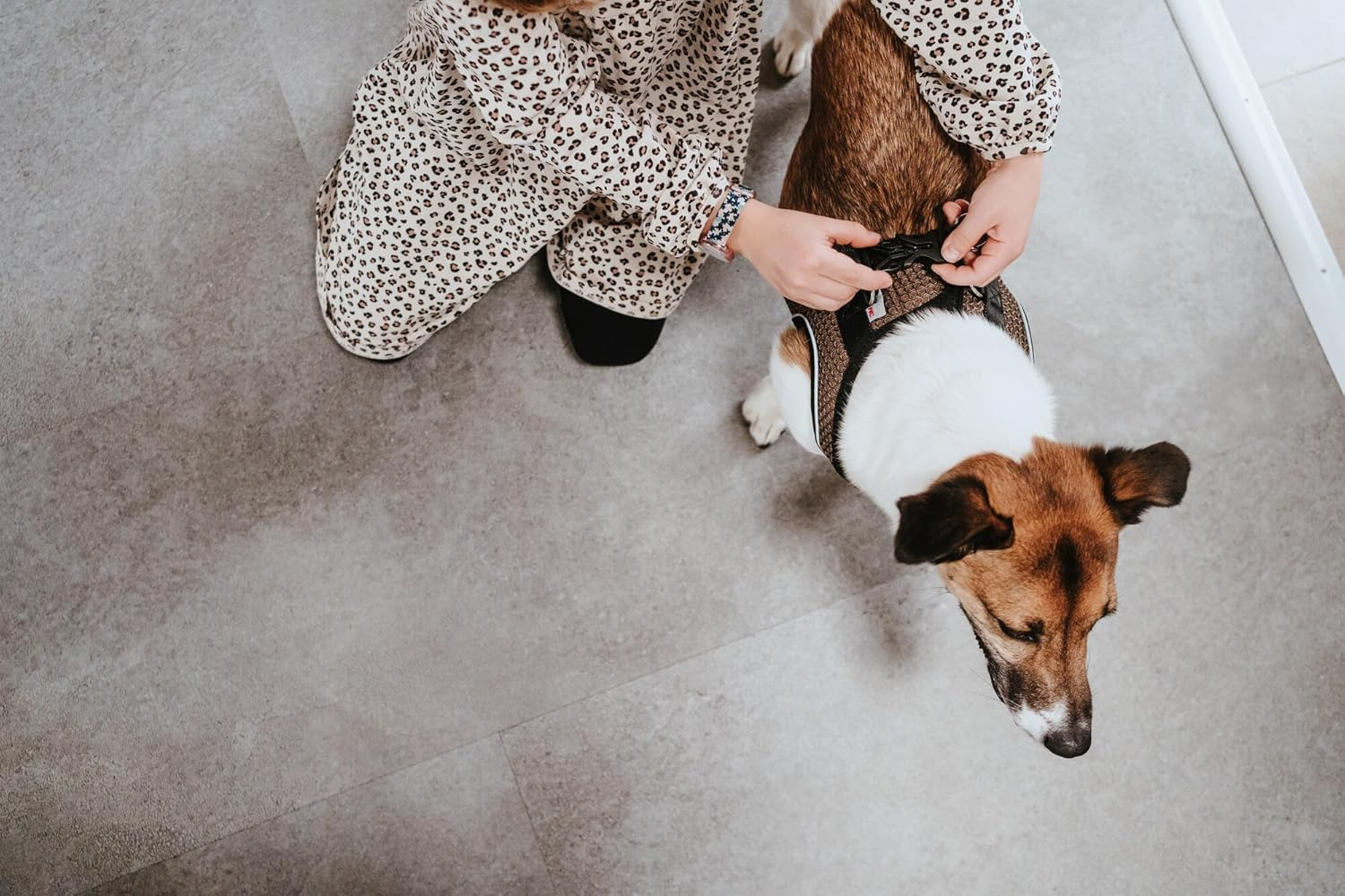 HUNTER Hilo Comfort Harness for Small Dogs, with Mesh Material and Reflective Elements,Brown,Xxs-Xs