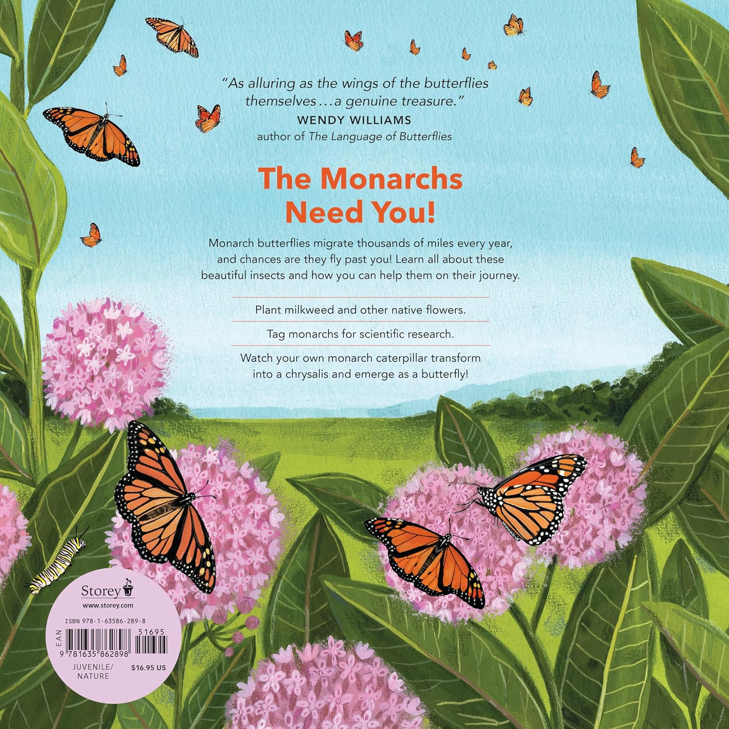 Monarch Butterflies: Explore the Life Journey of One of the Winged Wonders of the World image number 3