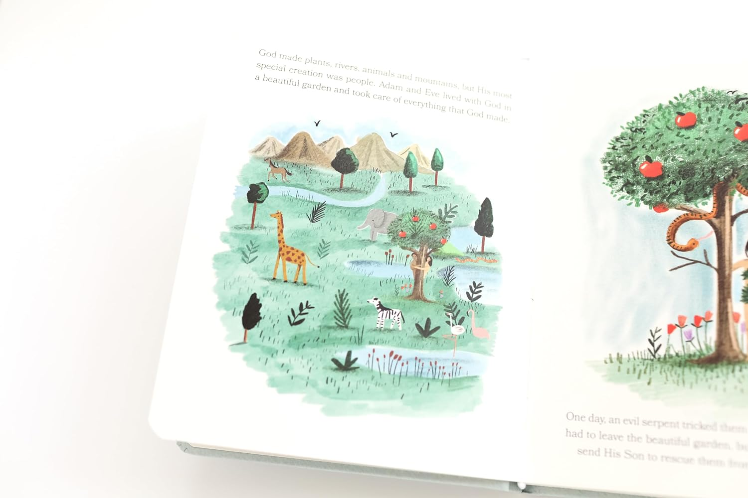 Bible Stories for Little Ones: Baby&rsquo;S First Bible Board Book image number 3