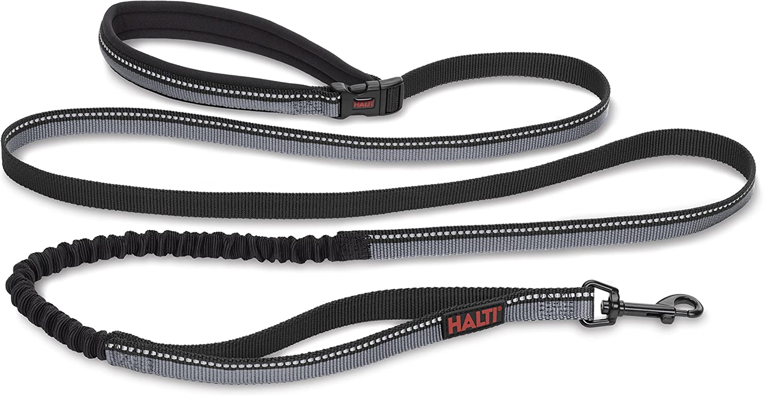HALTI Active Lead - Award-Winning Bungee Dog Lead, Shock-Absorbing Anti-Pull Dog Leash, All-In-One Neoprene Padded Belt & Lead, Ideal for Running & Training with Medium & Large Dogs (Size L, Purple)