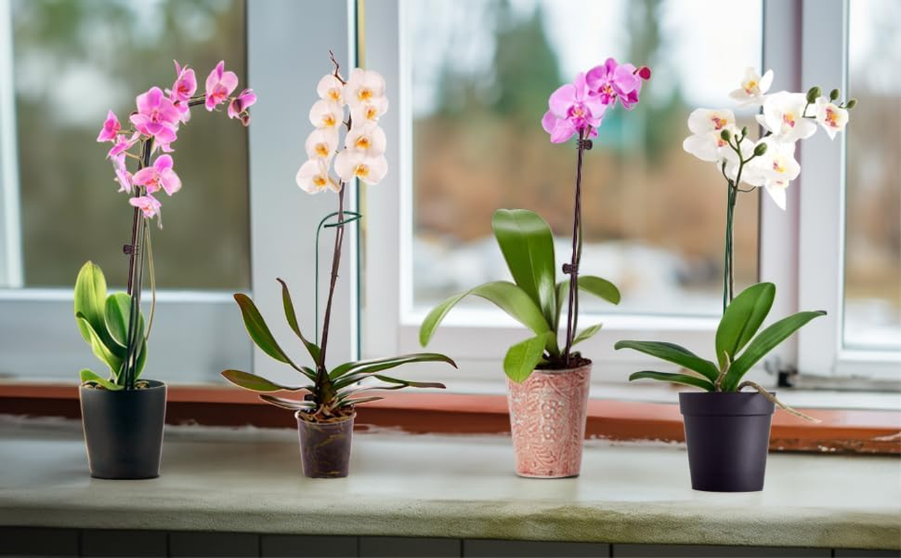 10Pcs Plant Support Stakes with 15 Pcs Clips, 16-Inch Tall Bendable Single Stem Flower Sticks for Indoor and Outdoor Plants, Orchid Clips (Green)