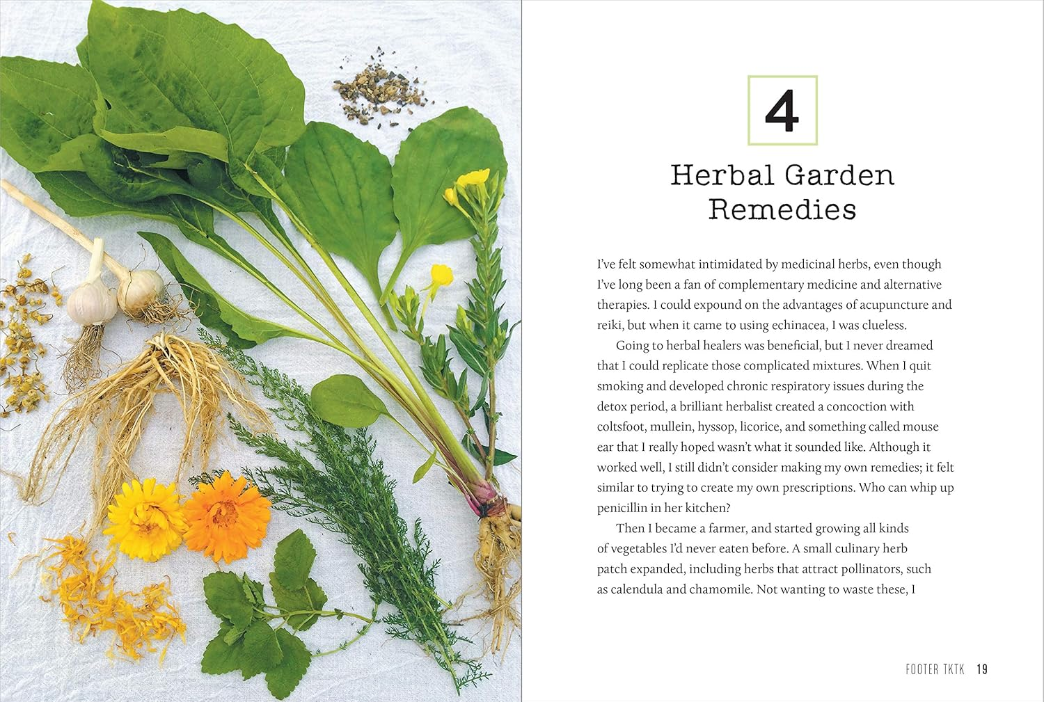 Backyard Pharmacy (Mini): Plants as Medicine image number 3