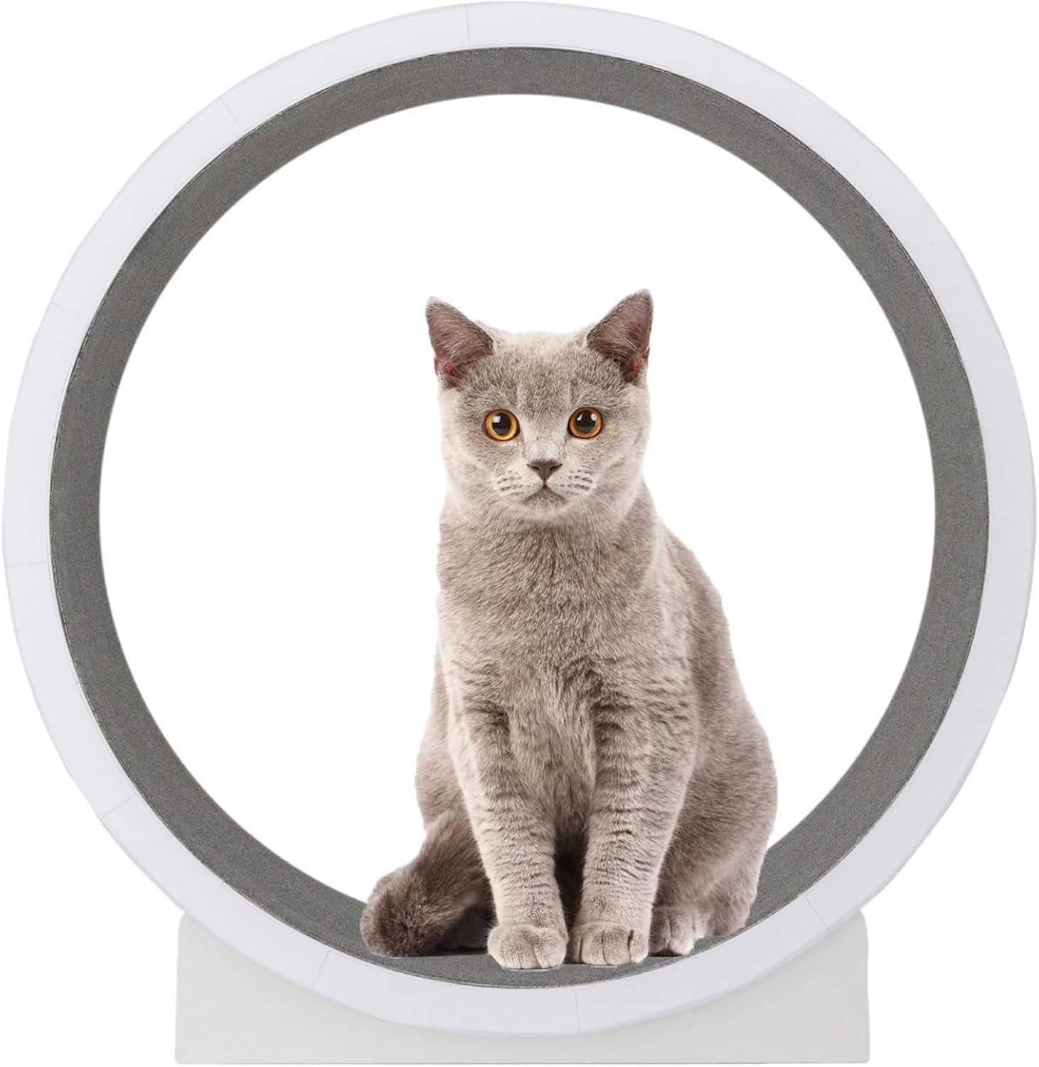 Cat Treadmill,Cat Exercise Wheel,Cat Treadmill Wheel,Pet Running,Spinning,And Scratching Fun,Running Spinning Toy for Small/Medium-Sized Pet Indoor Exercise,Smooth Run Freely image number 3