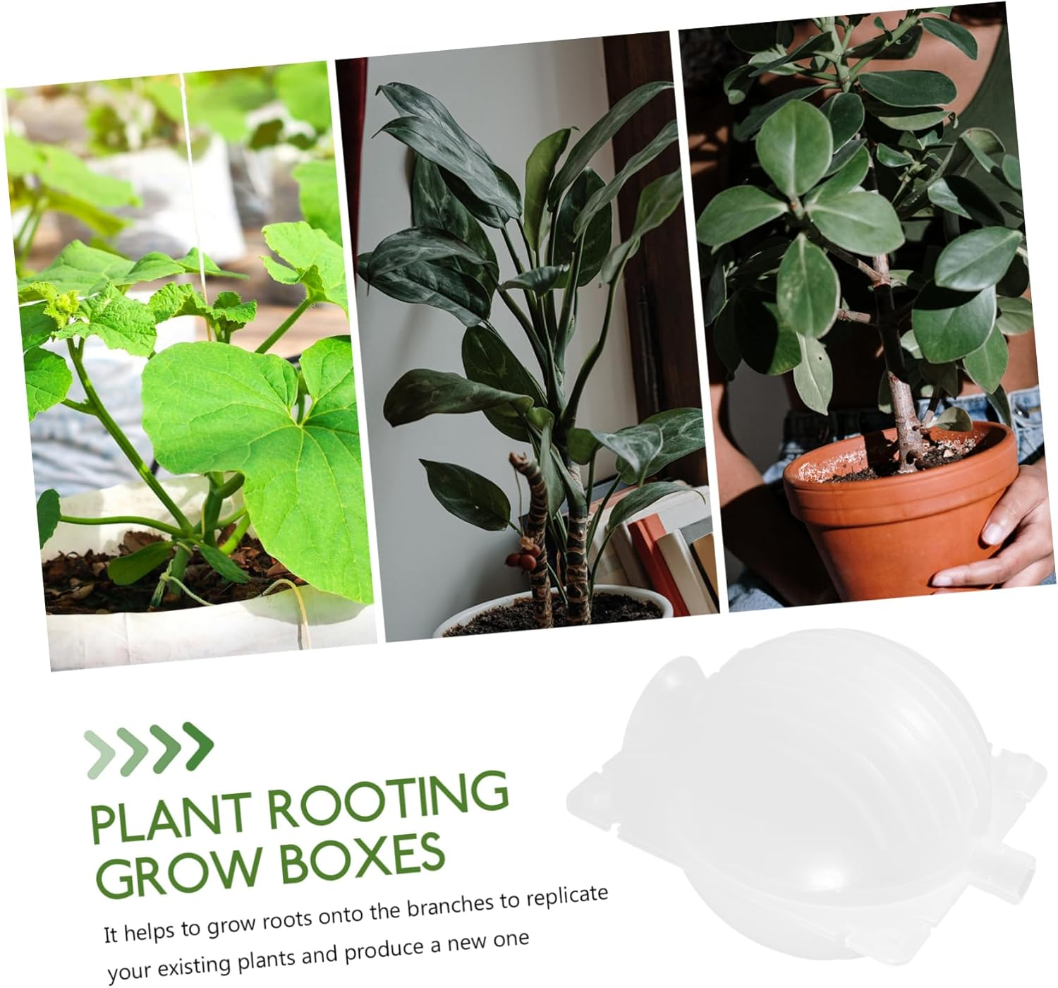 Milisten 8Pcs Box Gardening Grafting Rooting Devices Propagation Rooting Device Root Suite Outdoor Incubator Breeding Box Air Layering Propagation Balls Air Grafting Supplies High Pressure image number 3