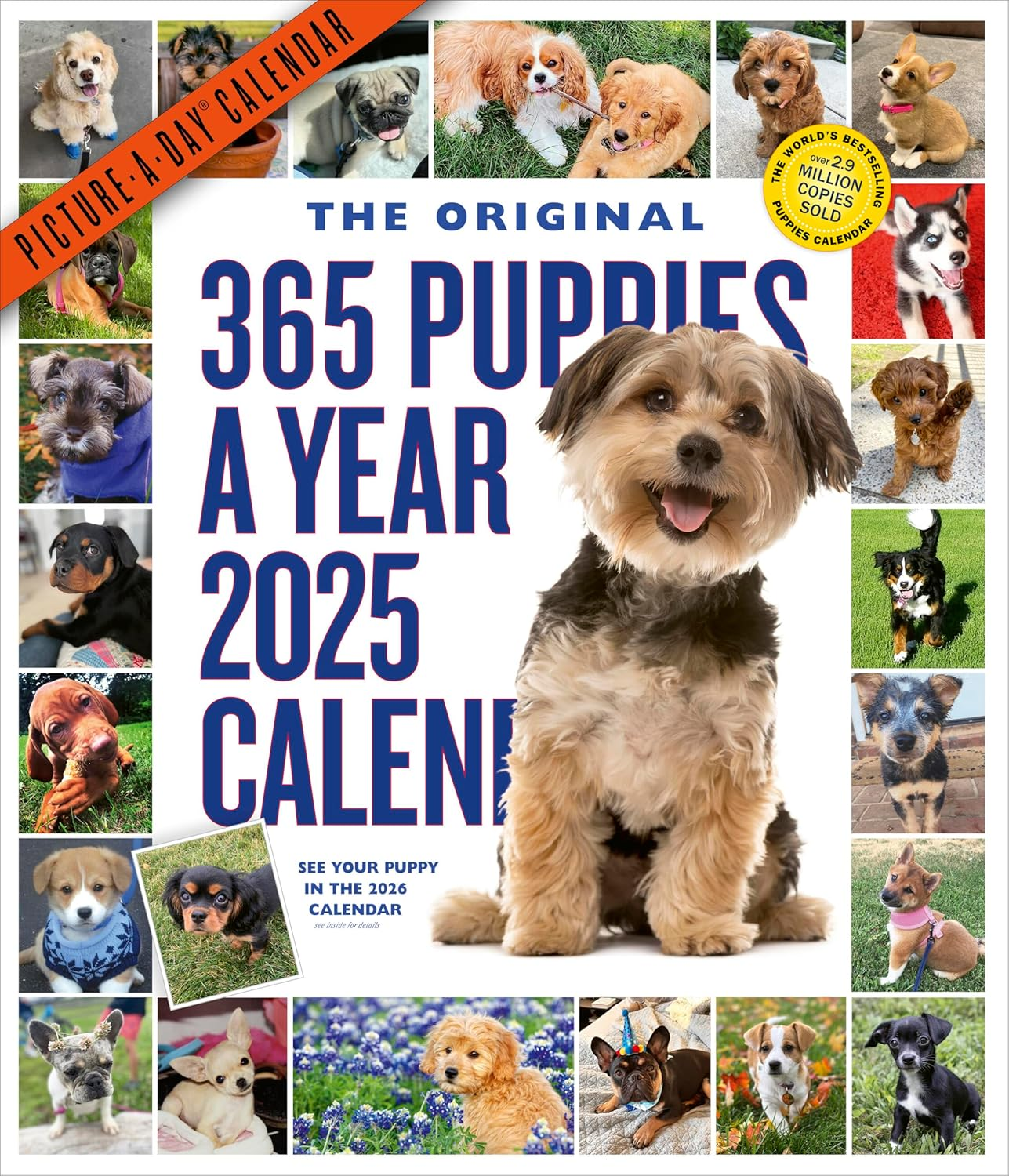 365 Puppies-A-Year Picture-A-Day Wall Calendar 2025 image number 4