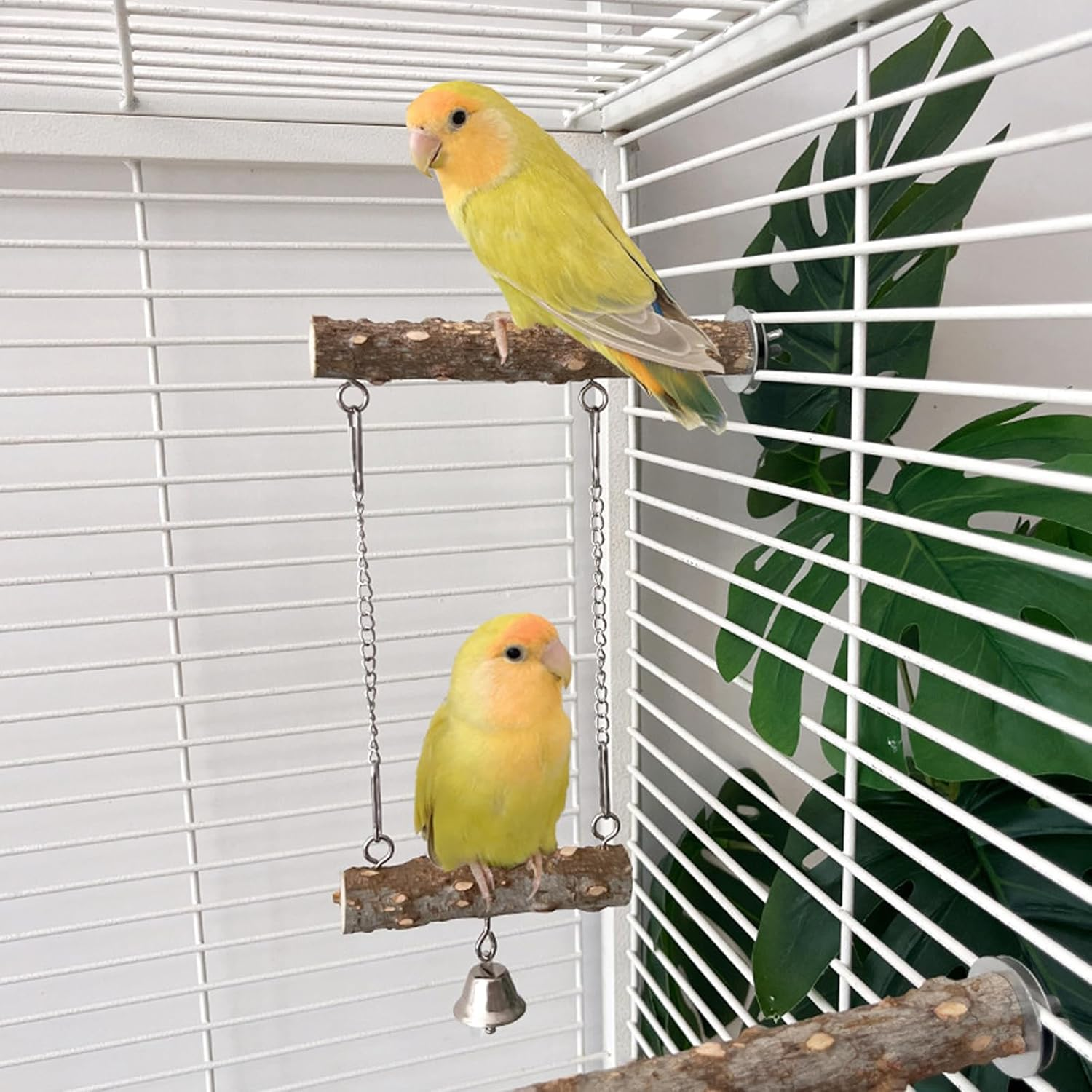 Wooden Bird Perch for Cage 6 Pcs, Natural Wood Parrot Perch Stand Branch Platform Swing Toy for Budgies Parakeet Lovebirds image number 4