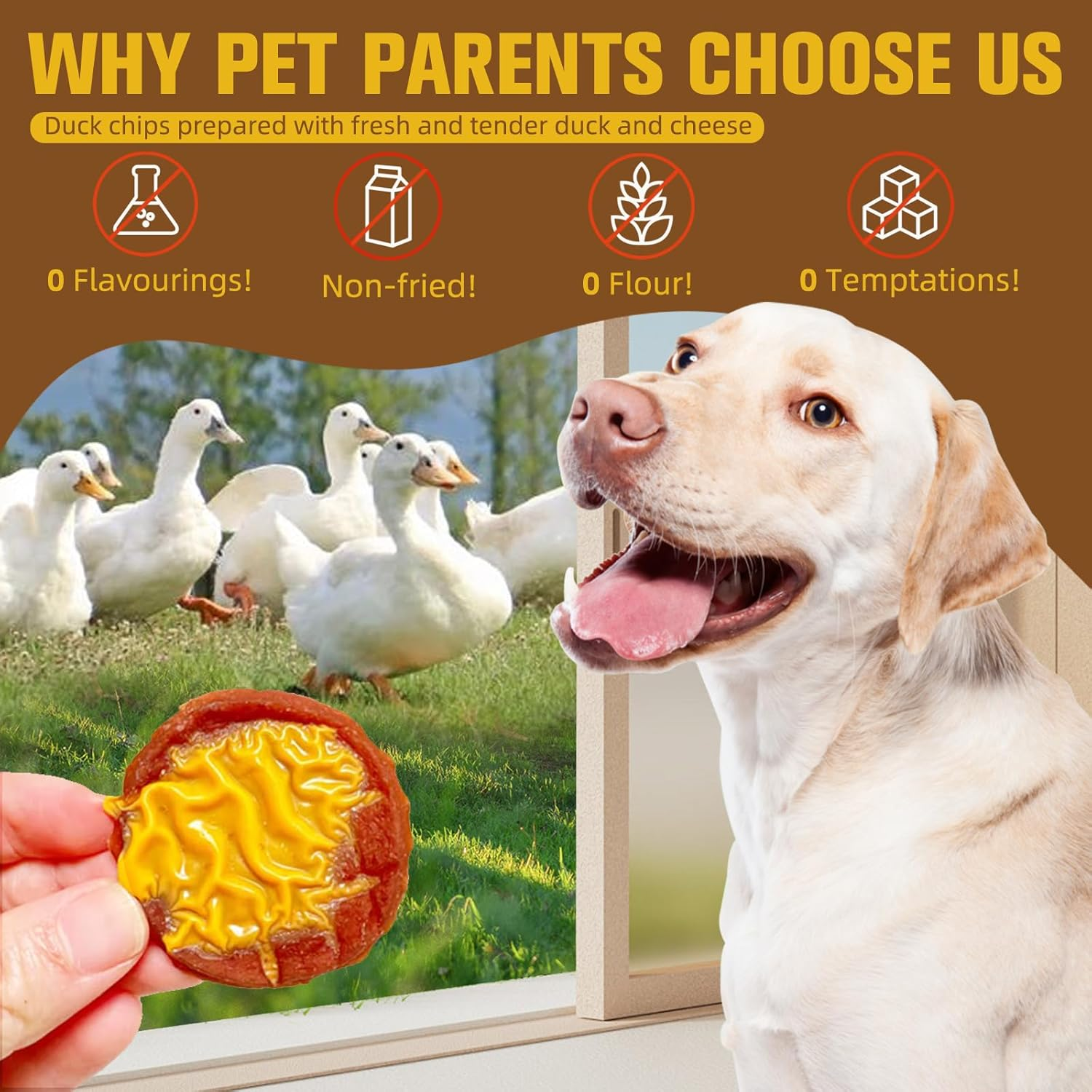 Natural Duck & Cheese Filled Dog Treats | Low-Temp Circulated Baked | High-Protein, Tasty & Nutritious image number 3