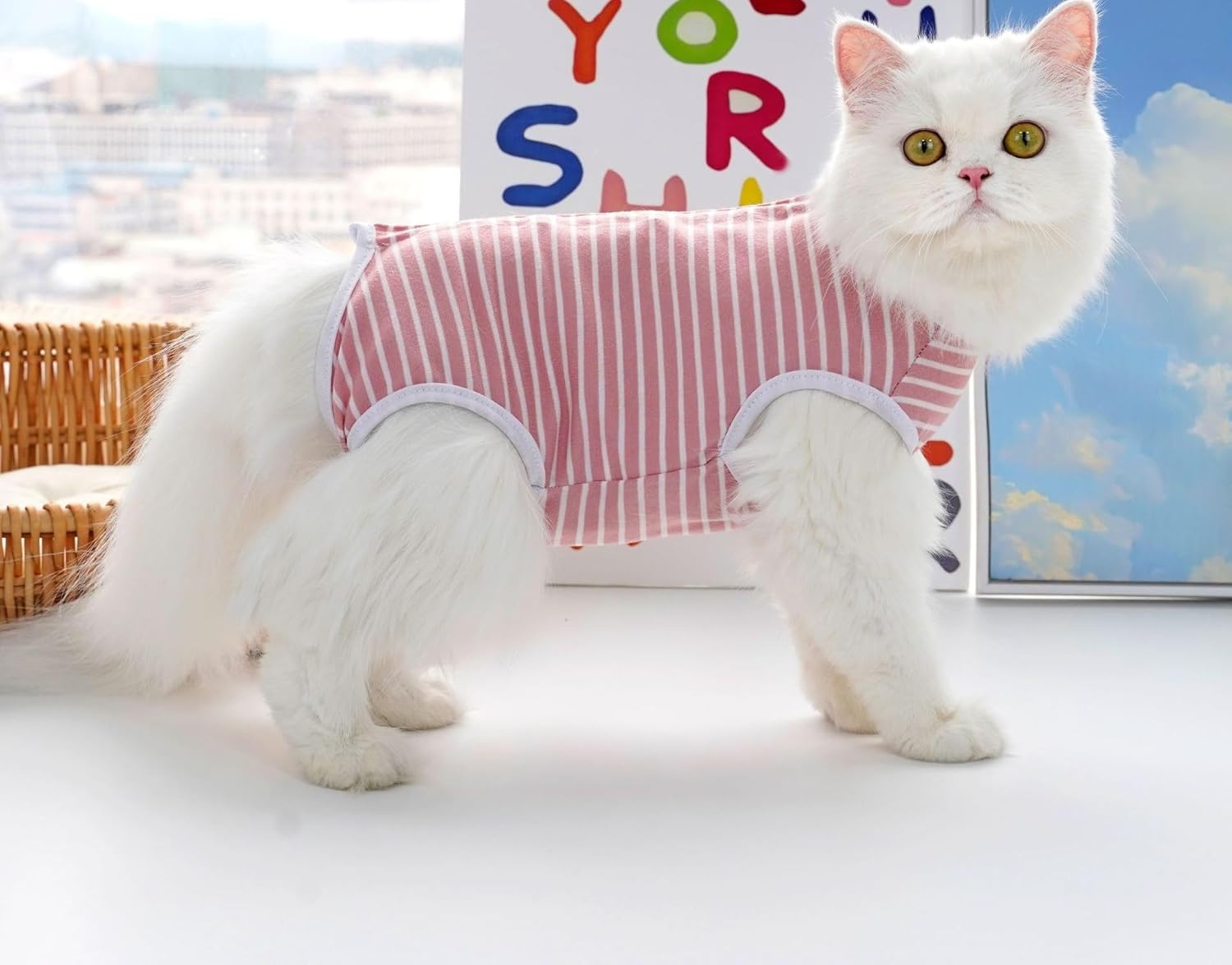 Cat Recovery Suit, Surgery Recovery Suit, Kitten Onesie for Cats after Surgery, Pet Cat Spay Surgical Soft Clothes Abdominal Protection (Pink and White Stripes, S)