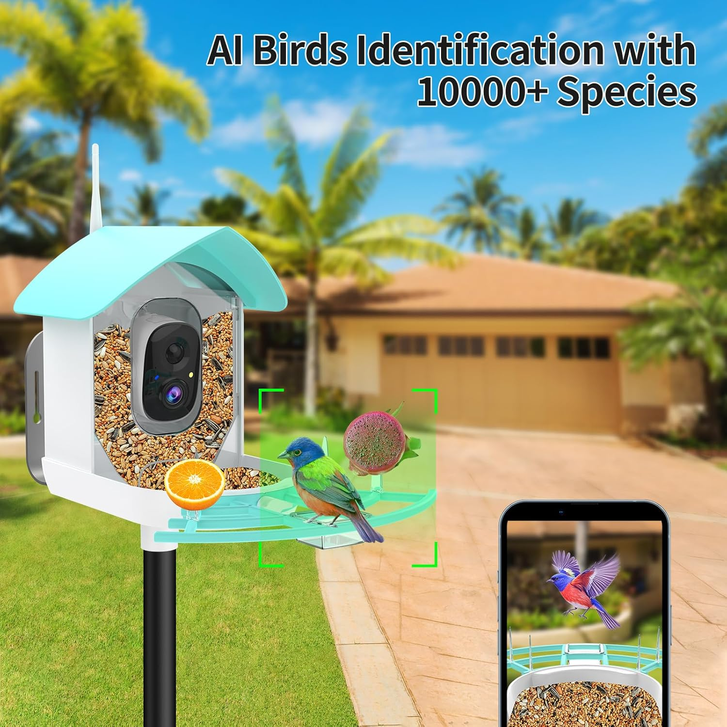 Smart Bird Feeder with Camera,Ai Identify Birds Breed,Solar Powered Wifi FHD 2K Live View Camera,Auto Capture Video,Backyard Garden Bird Watching,Motion Detection,Cloud and SD Card Storage,Blue image number 5