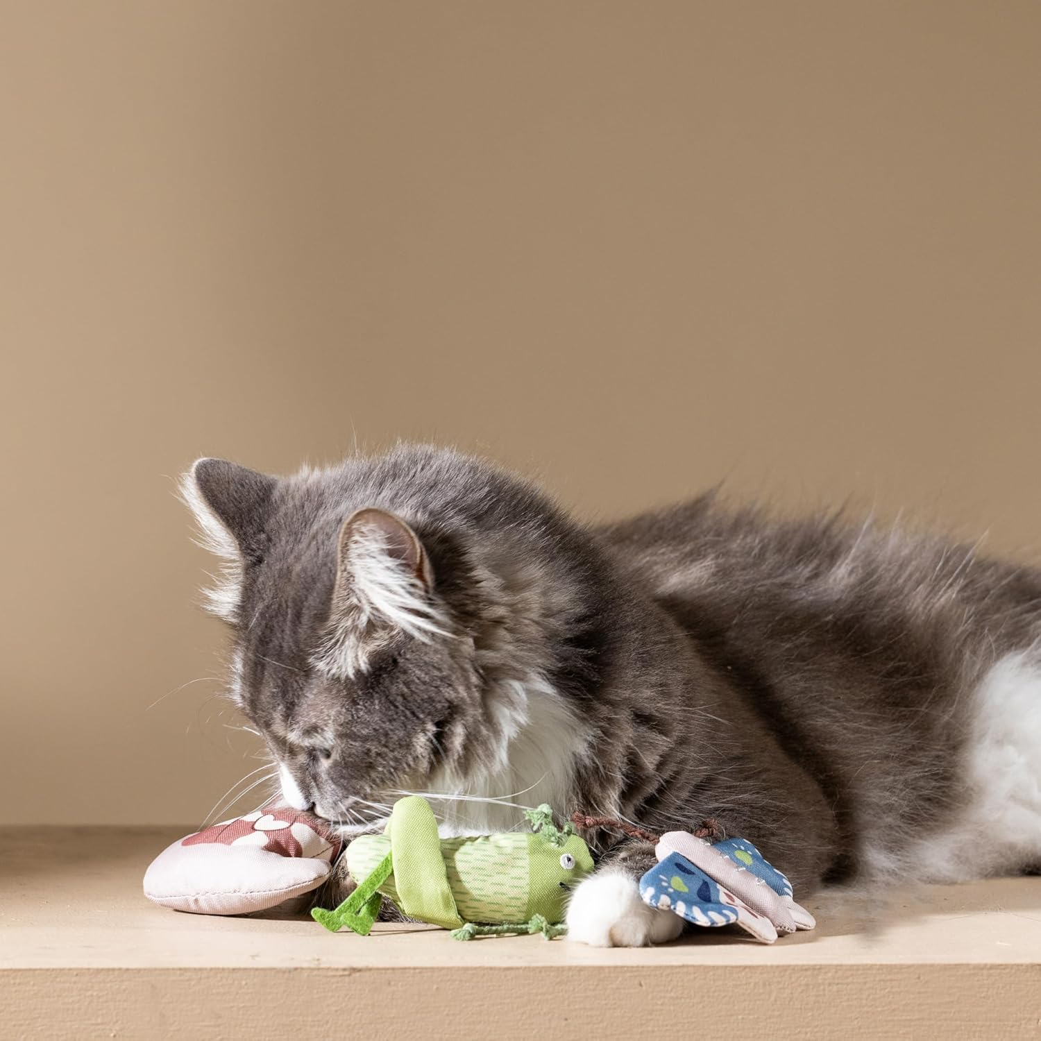 Fringe Studio Set Fang Mich, Wenn Du Kannst | Environmentally Friendly | Cat image number 1