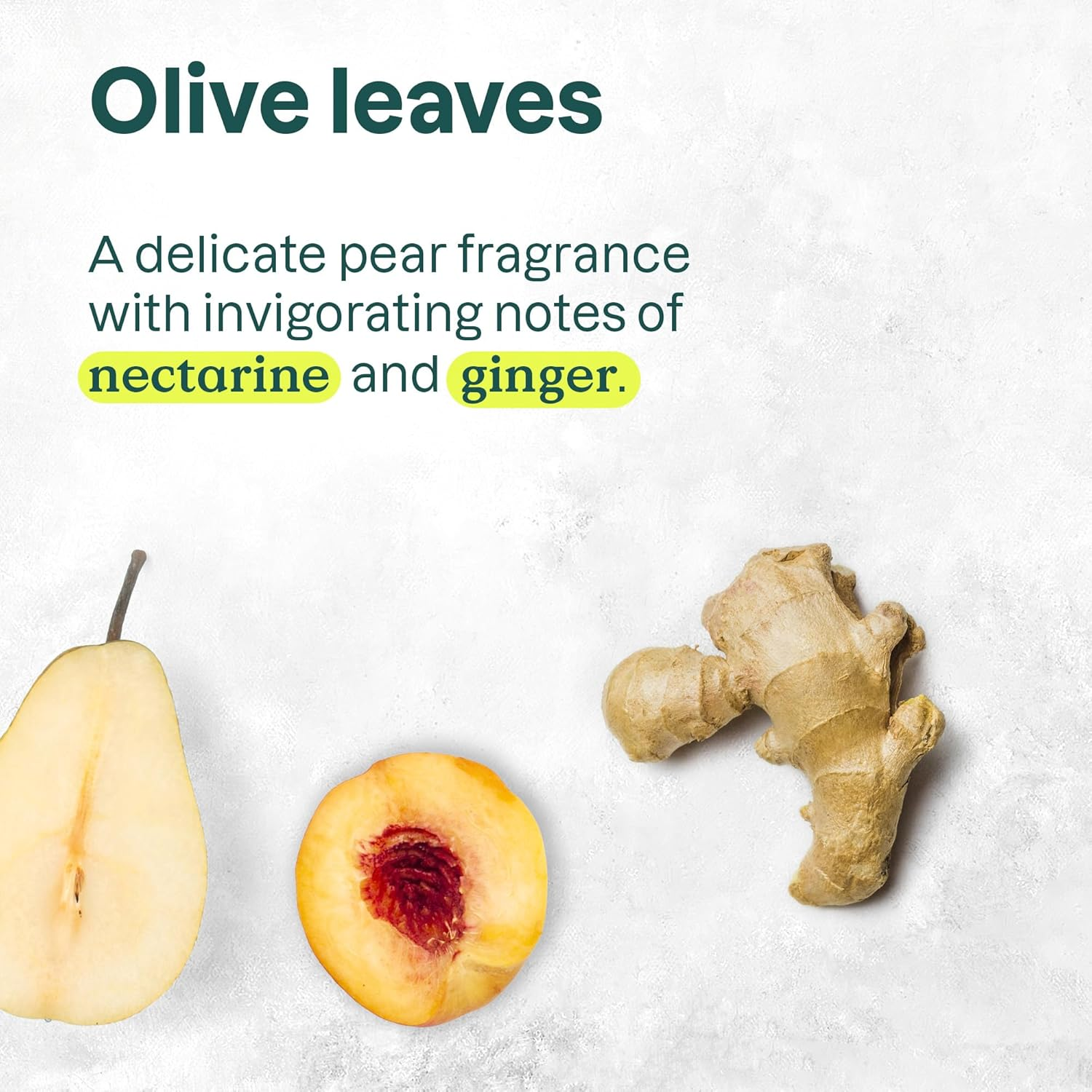 ATTITUDE Nourishing Hair Shampoo, EWG Verified, for Dry and Damaged Hair, Naturally Derived Ingredients, Vegan and Plant Based, Grapeseed Oil and Olive Leaves, 16 Fl Oz image number 6