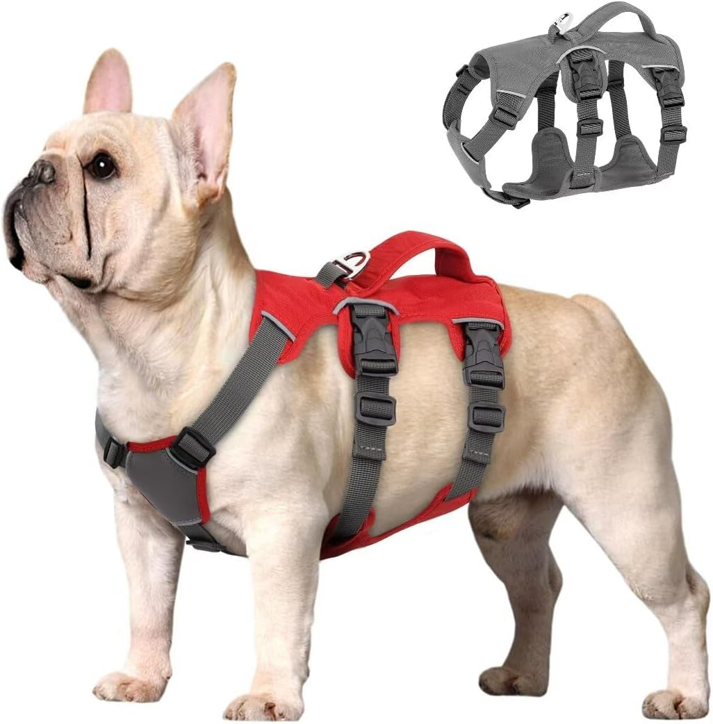 Beirui Escape Proof Dog Harness for Small Medium Large Dogs, Reflective Dog Harness No Pull with Padded Handle, Waterproof Dog Harness for Daily Walking Training (Red,Chest 11-22&rdquo;) image number 2