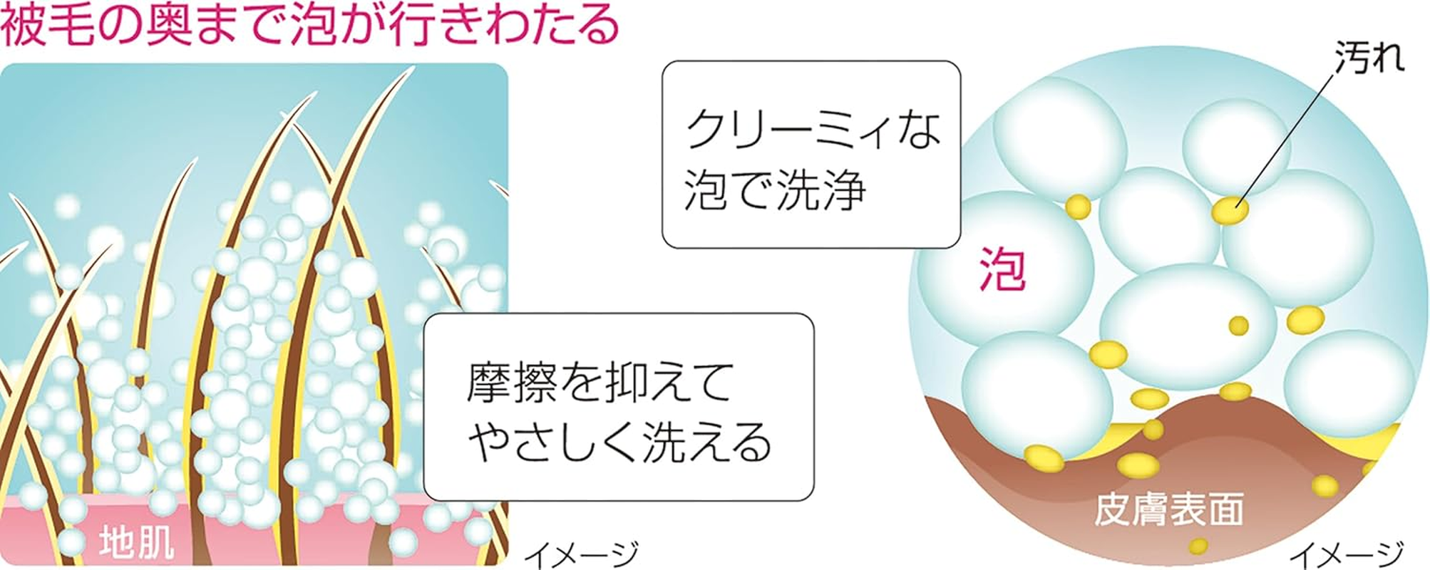 Lion Pet Kirei Scented Foam Rinse-In Shampoo for Dogs and Cats, Refill, Pack of 2, Refill X 2, Bulk Purchase image number 3