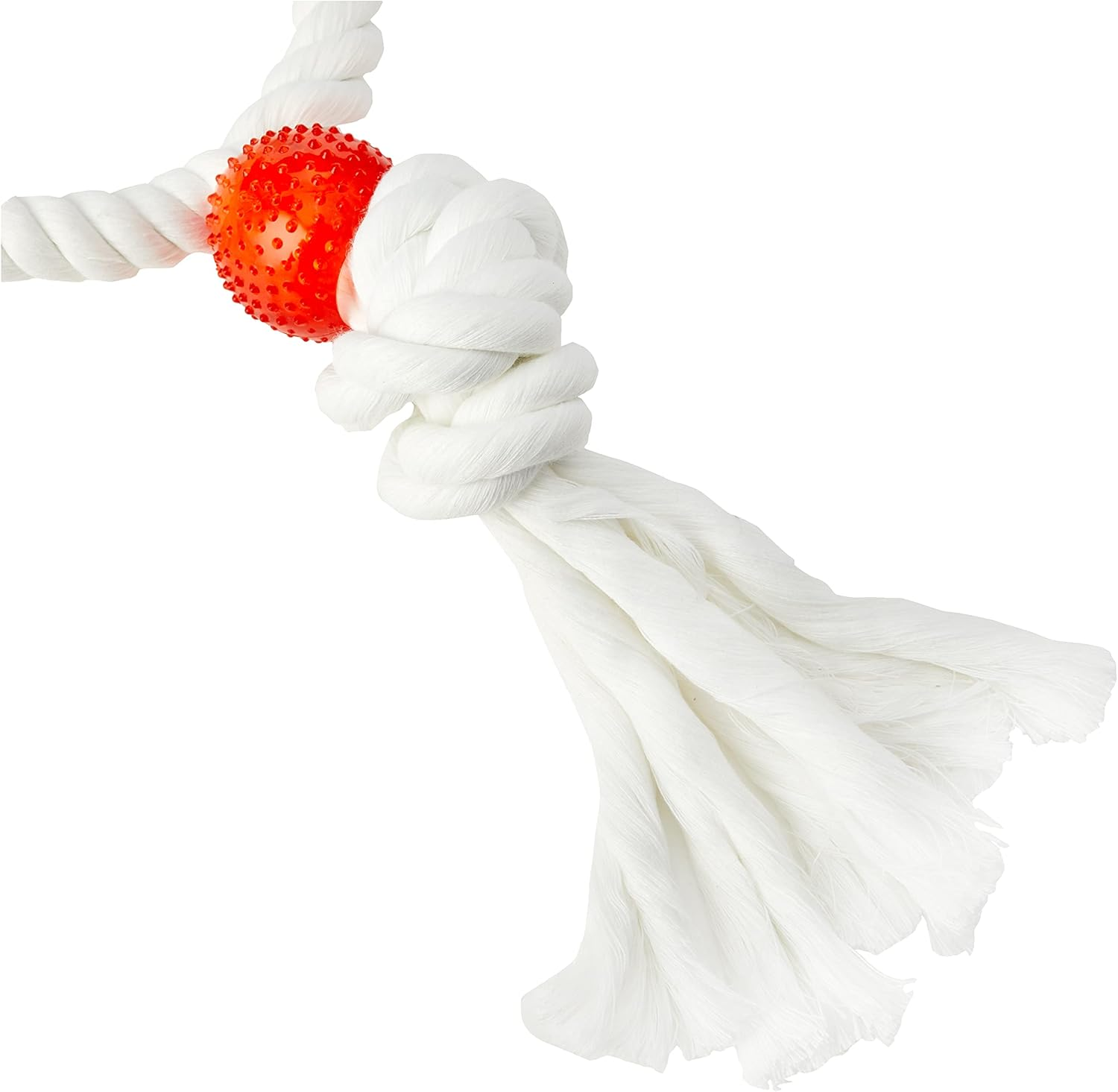 Rosewood Parrot Toy Twin Parrot Rings, Large