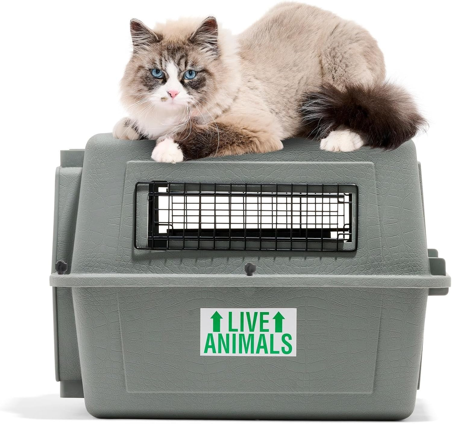 Petmate Sky Kennel - for Air and Travel, Airline Approved Dog Crate for Pets up to 15 Lbs, Heavy Duty Dog Kennel, Made in the USA- 21 Inches image number 4