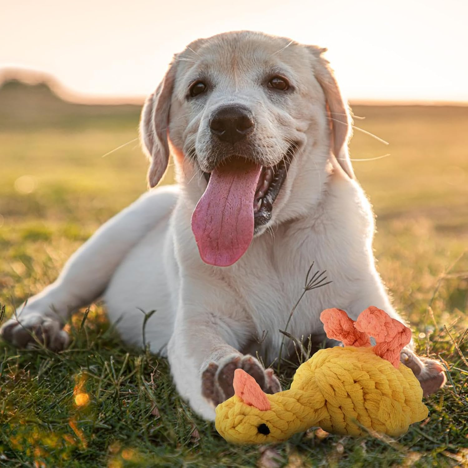 UOY Pet Chew Toy, Pack of 2 Dog Toy Rope Dog Chew Toy, Dog Teeth Cleaning Rope Toy, Dog Pets Chewing for Interactive Pet Play Training Toy image number 2