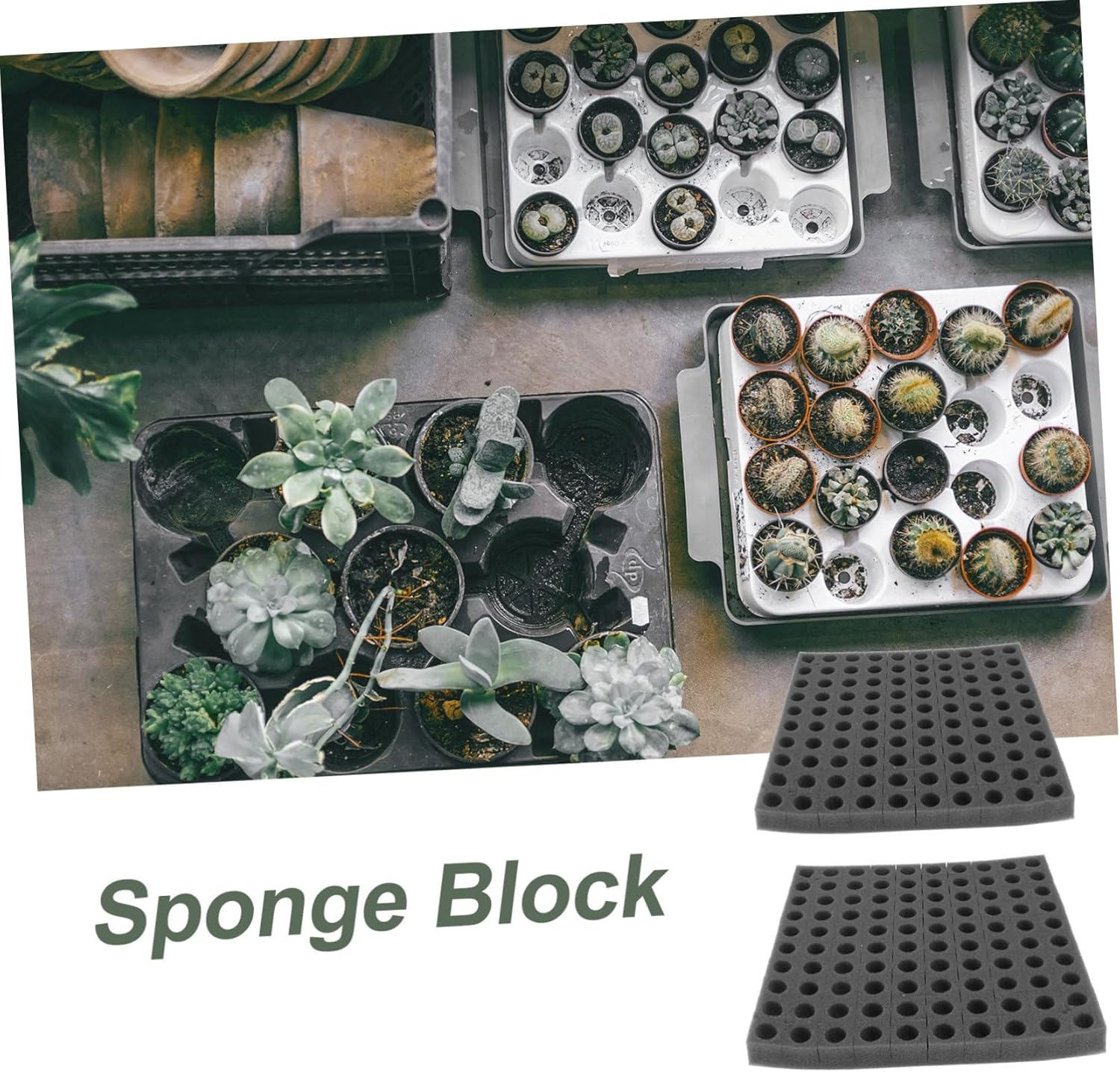 Gatuida Soilless Hydroponic Sponge Seedling Block for Vegetable Cultivation 2Pcs Black Square Sponge Tray for Indoor Balcony Gardening Tools image number 3
