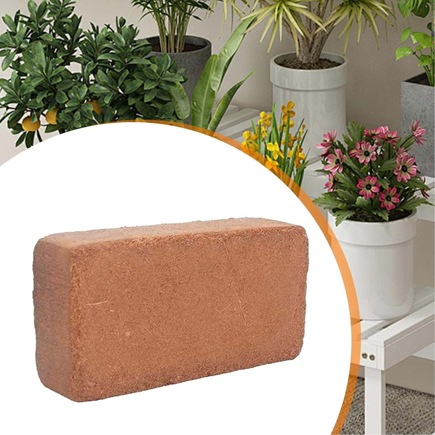 Vgvgaj Organic Coco Coir | Coco Coir Block - Ph-Balanced Moisture Supplies for Vegetables Houseplants Gardening Indoor Flowers Outdoor