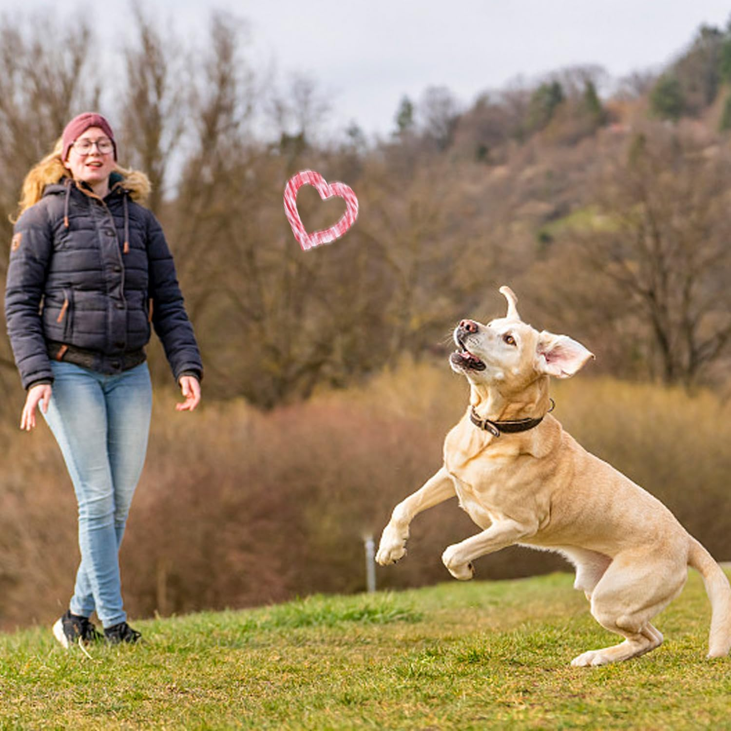 HDGSAFD Pack of 2 Pet Chew Toys, Heart-Shaped Braided Rope Toy, Pet Supplies, Suitable for Small and Medium Dogs