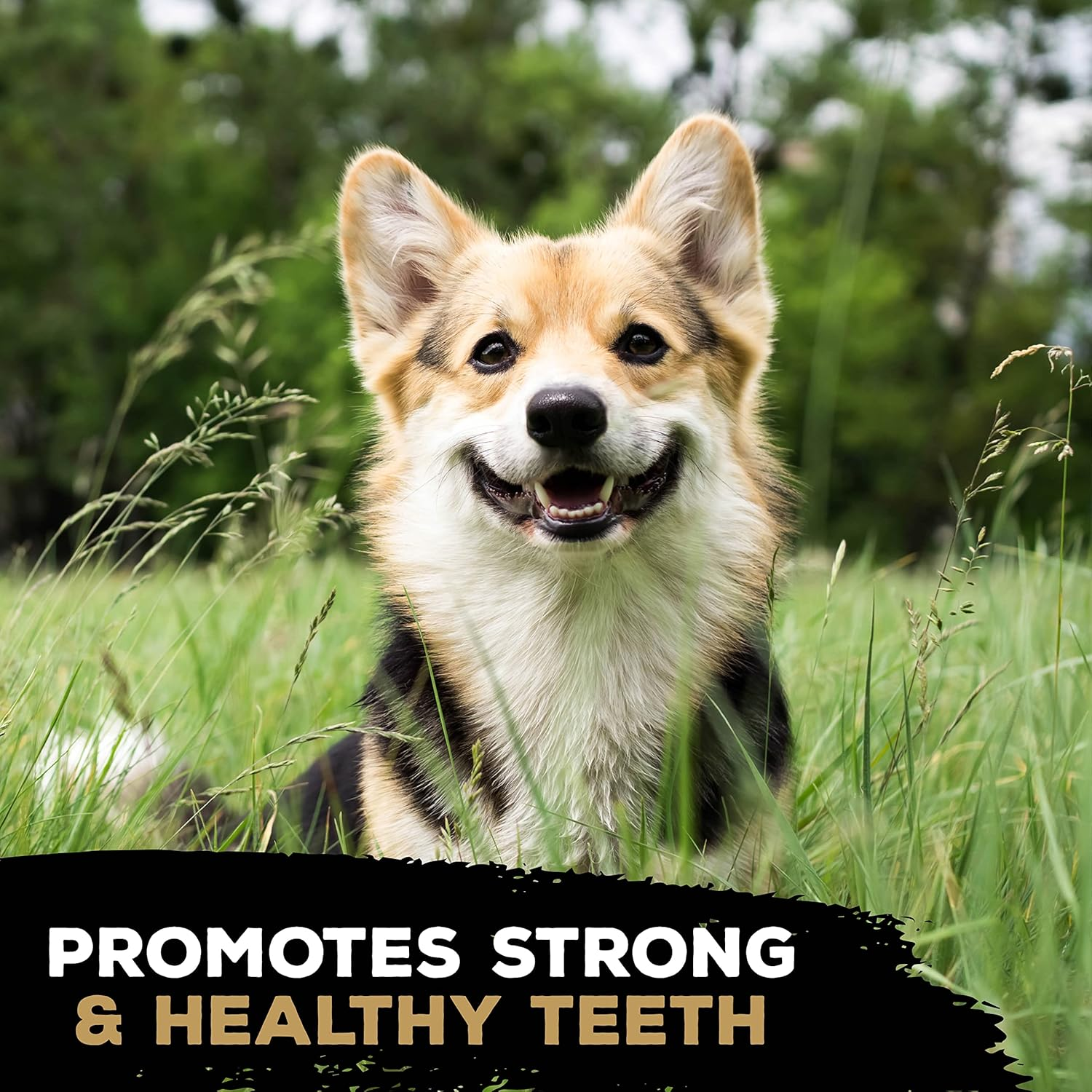 Tasty Bone Nylon Dog Chew Toy Quattro Chorizo Small image number 5