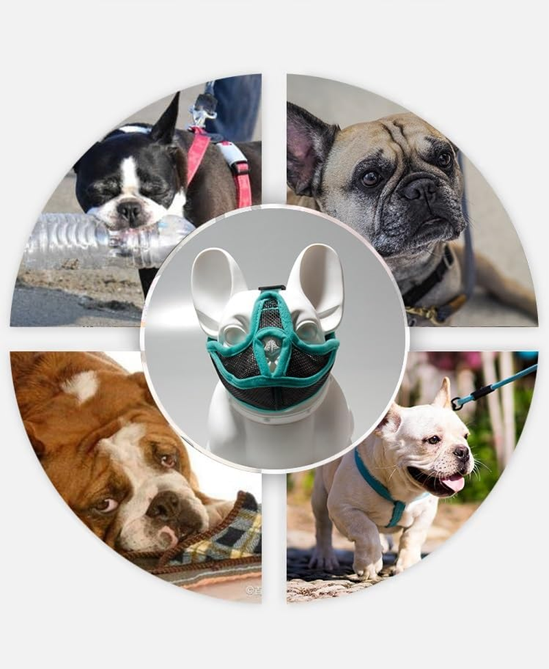Short Snout Dog Muzzle, Won&rsquo;T Cover Forehead Bulldog Muzzle Adjustable Breathe Mesh, anti Bitting Chewing Barking (Green, L) image number 3