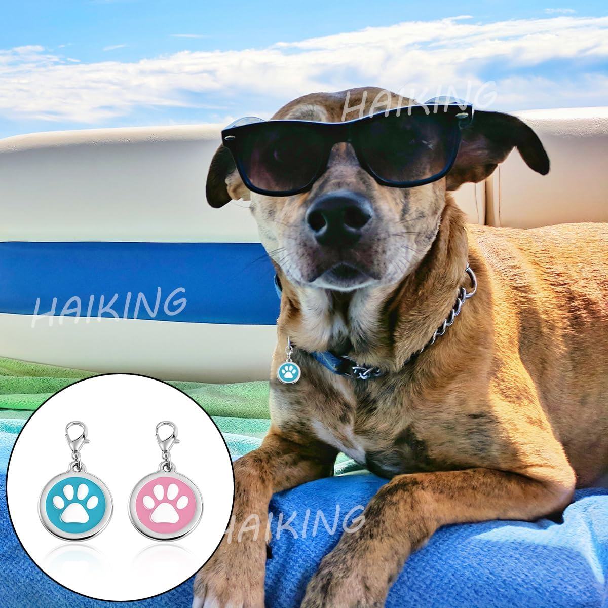 HAIKING Pet Tags, 2 Pcs Dog Personalized Name Tags for Dogs, Cats, Pets (Pink, Blue.Personalized Customization Is Not Provided and Needs to Be Customized by Oneself.)