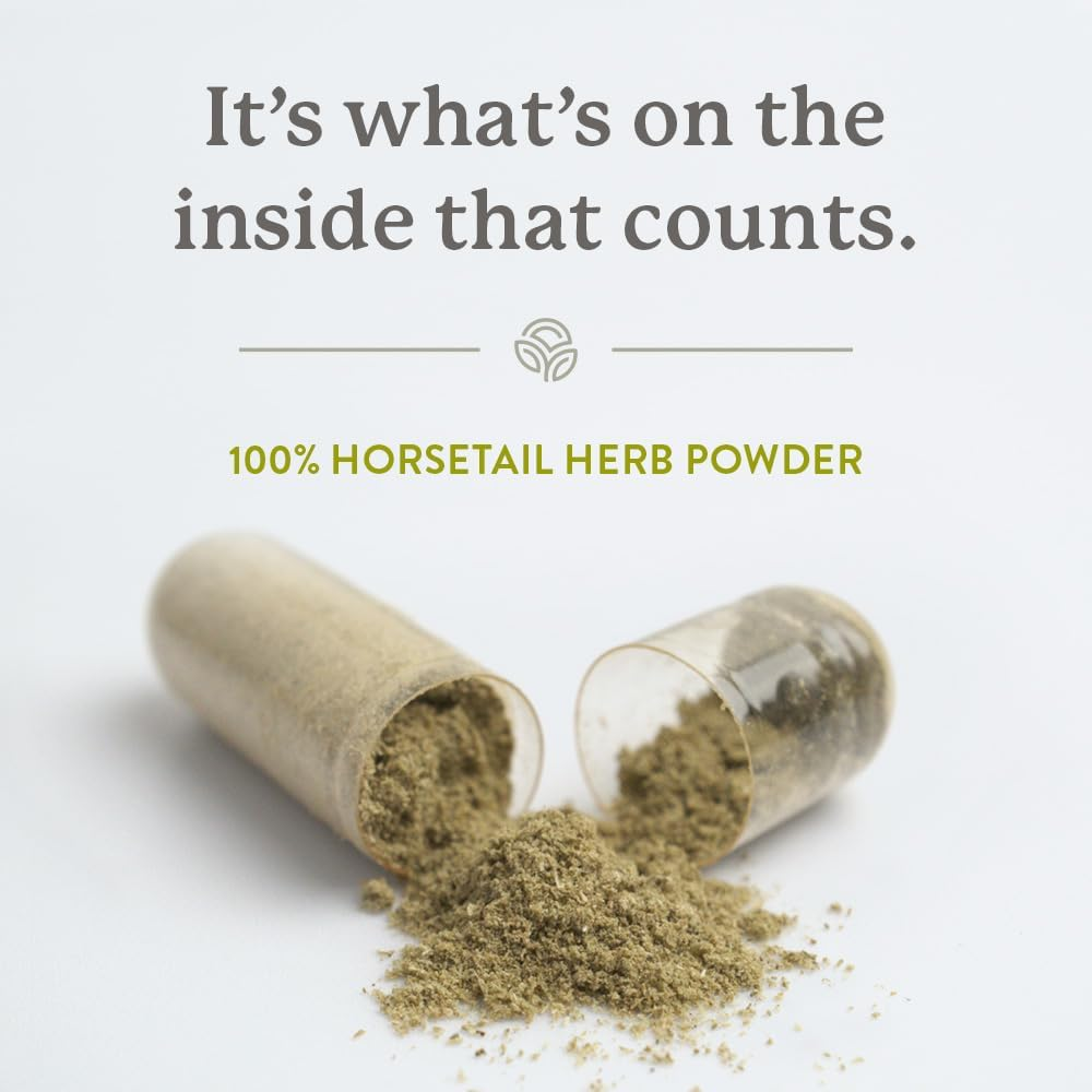 Nature'S Sunshine Horsetail 100 Capsules