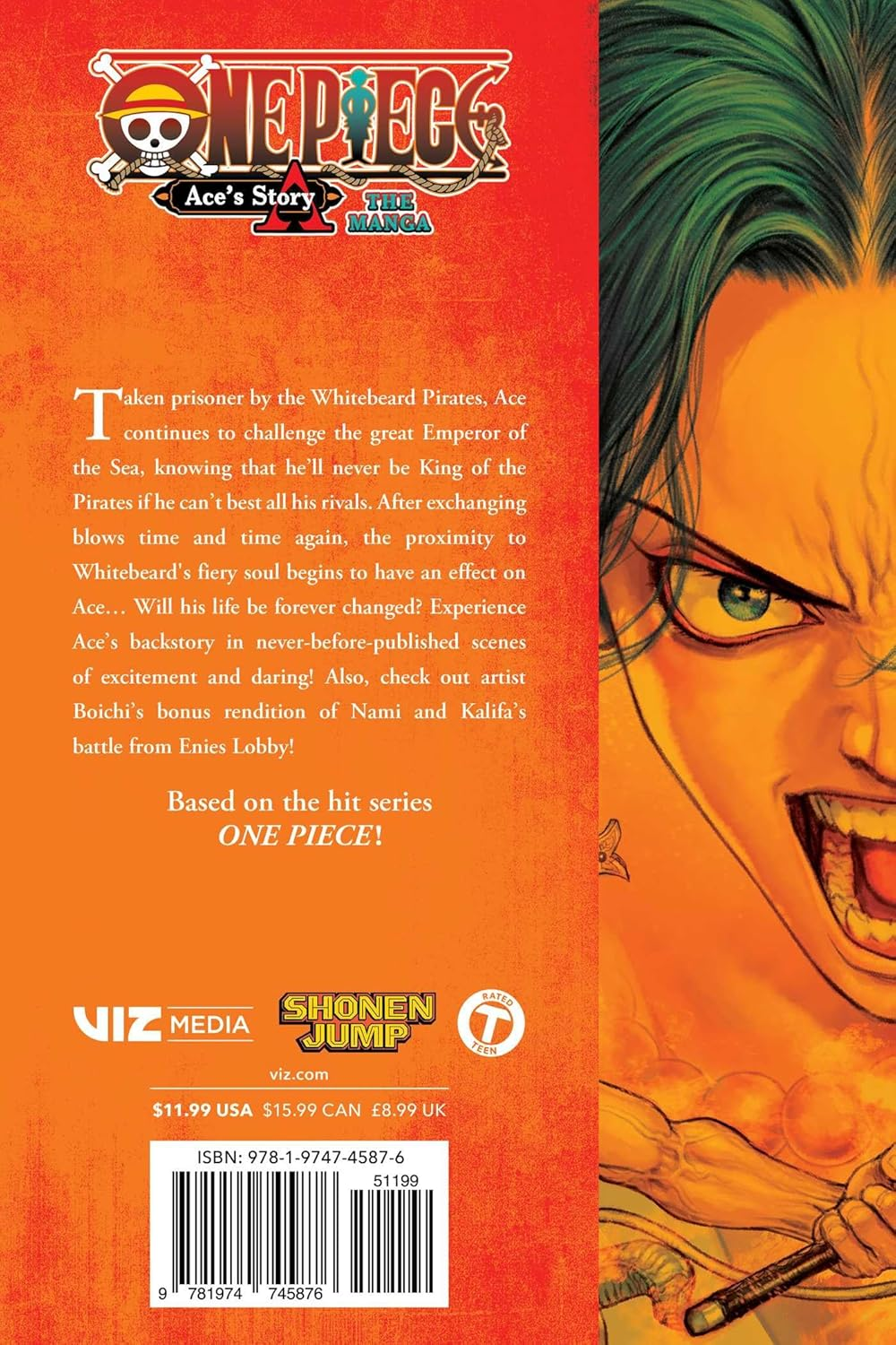 One Piece: Ace'S Story―The Manga, Vol. 2 image number 1