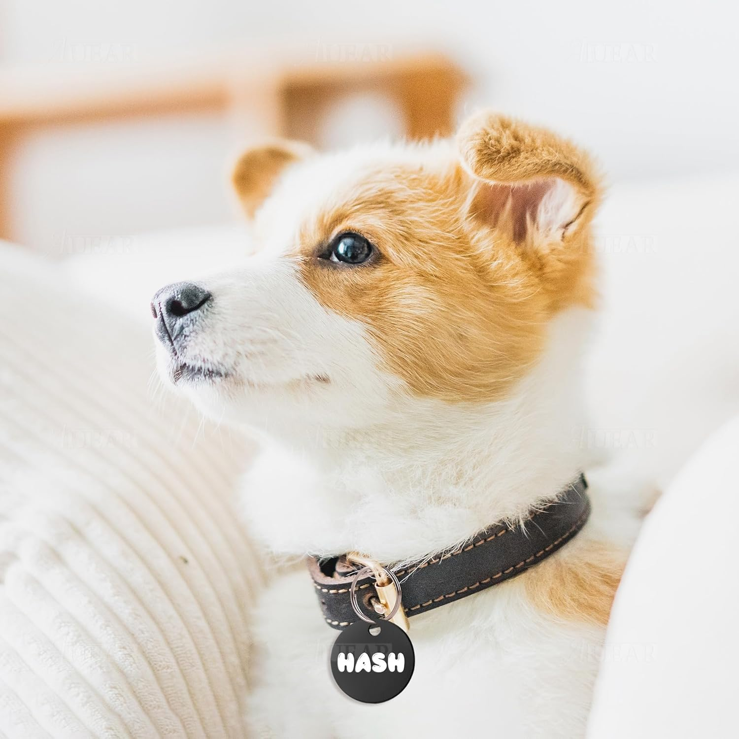 AUEAR, 20 Pack 25Mm round Shape Pet ID Tag Blank Dog Cat ID Tag for Pet Name Phone Charm Jewelry Making (Black) - Silver image number 3