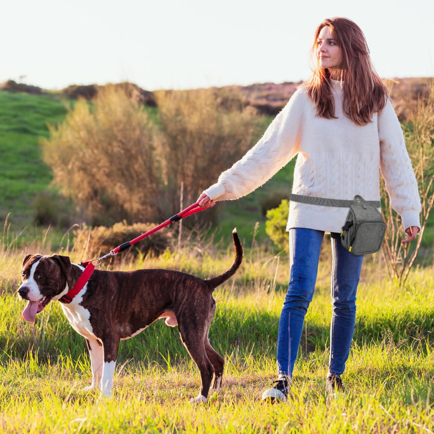 Treat Bag for Dogs, Food Bag, Dog Training, Waterproof, Pet Treat Bag with Waste Bag Dispenser for Walks, Training Sessions and Outdoor Activities image number 5