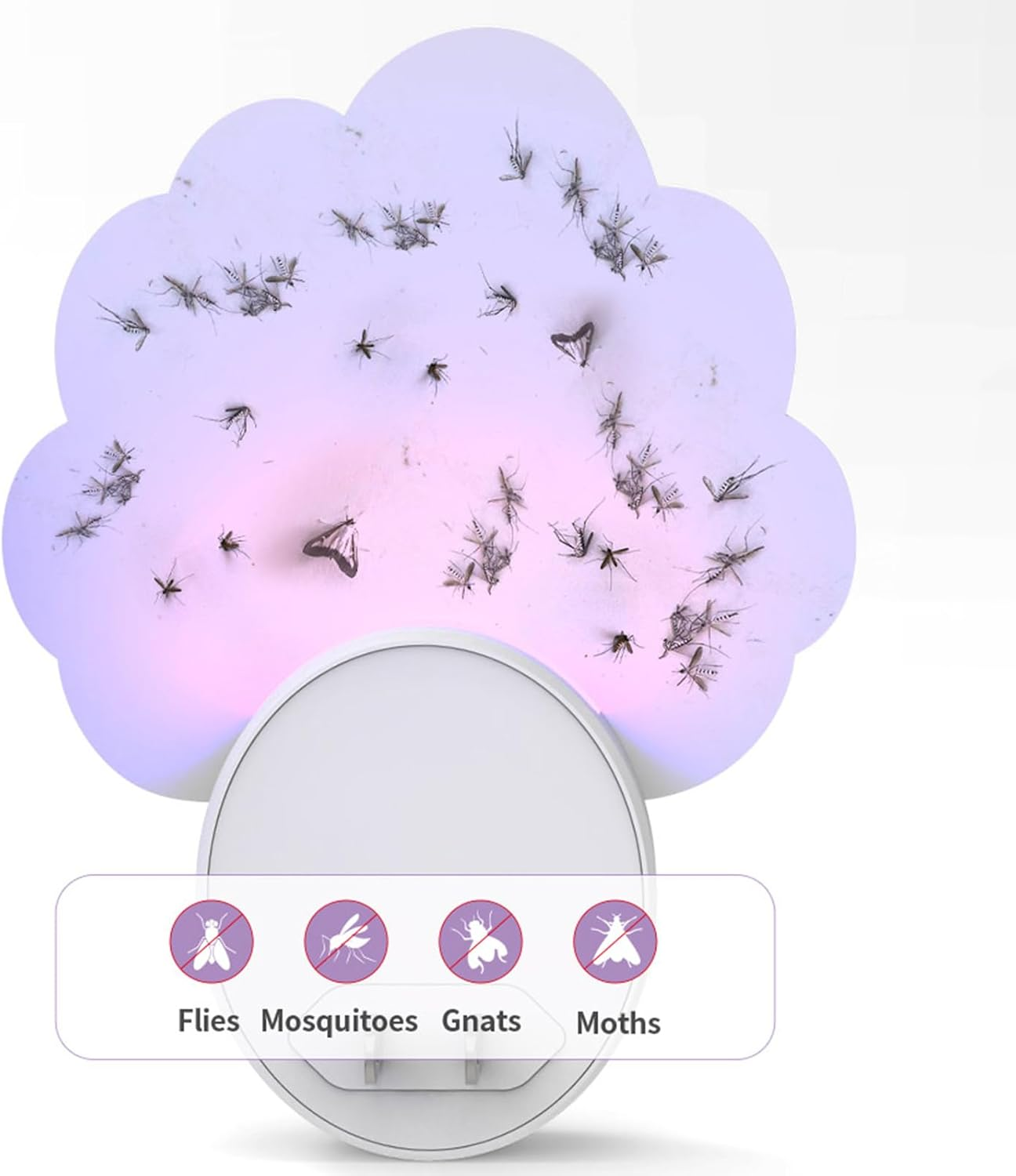 2Pcs Indoor Plug in Mosquito Killer,12Pcs Adhesive Cards,Electric Mosquito Fly Zapper,Plug-In Mosquito Killer, Flying Insect Trap for Flies,Bug Zappers Indoor Suitable for Every Part of Home image number 6