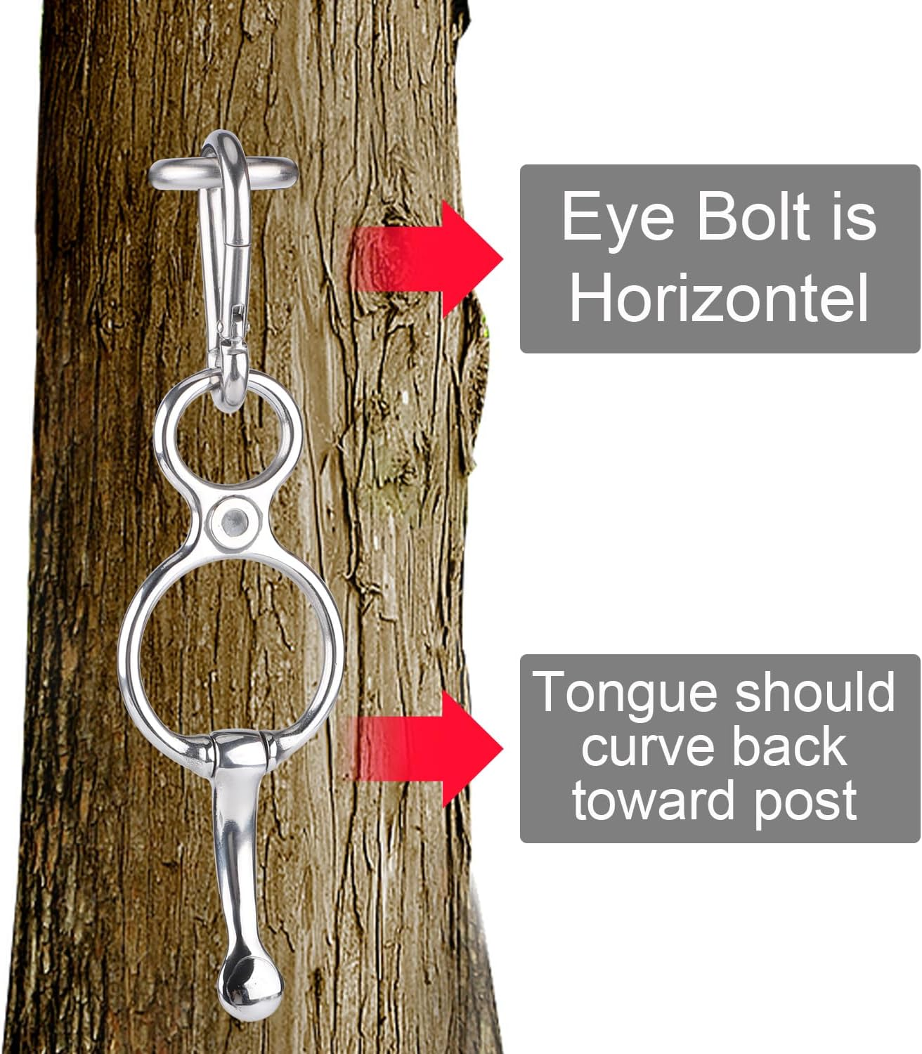 3Pcs Heavy Duty Horse Tie Ring, Durable Stainless Steel Tie Ring for Horses with Eye Bolt Horse Tie Post Quick Release Safety Horse Accessories image number 5