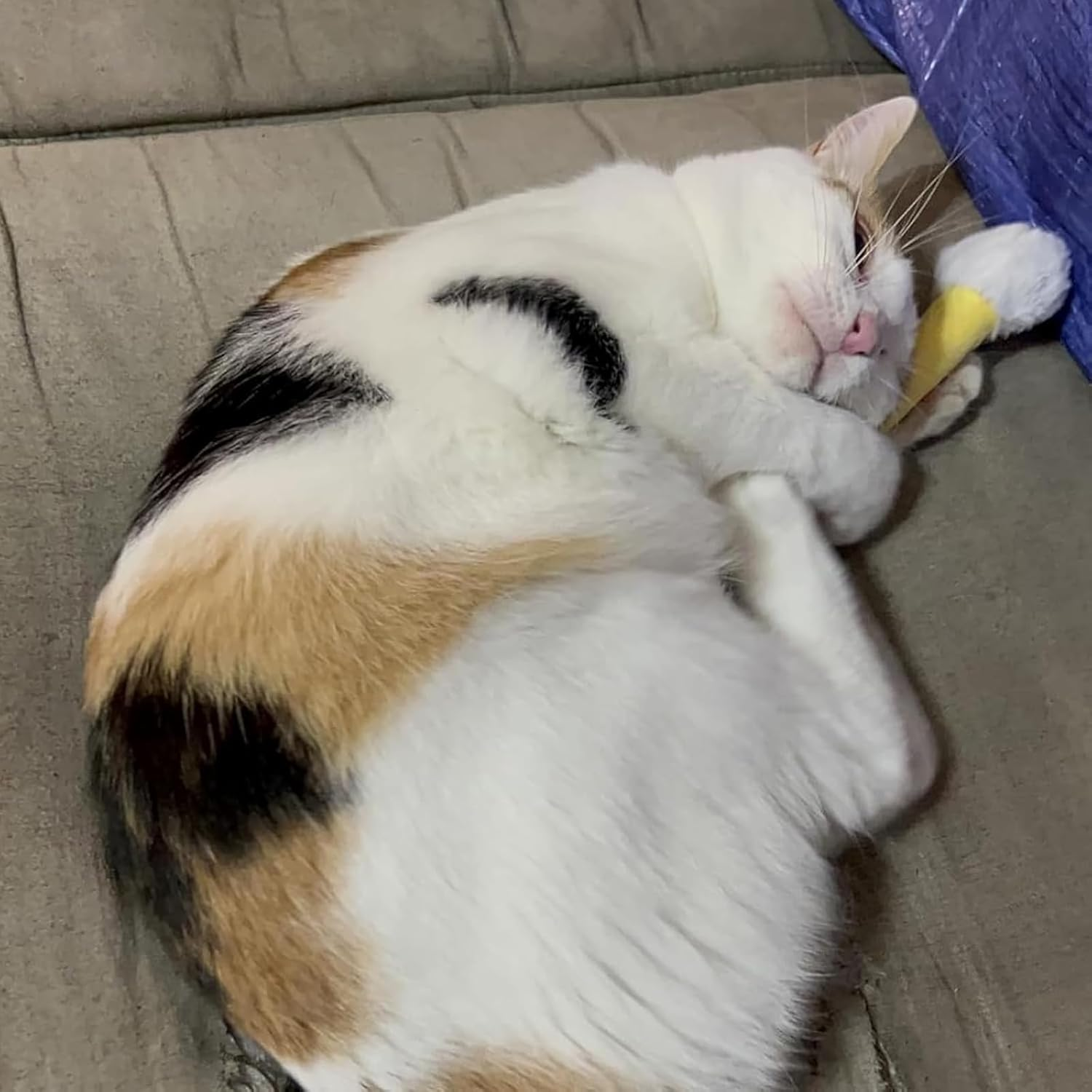 Q Tip Cat Toy, Qtip Cat Toy, Giant Swabs Catnip Toys Set, Interactive Kitty Kick Sticks for Cat Lovers Gift, of 6 Soft Plush Kicker Toys, Sturdy Teething Chew (3Pcs-A) image number 2