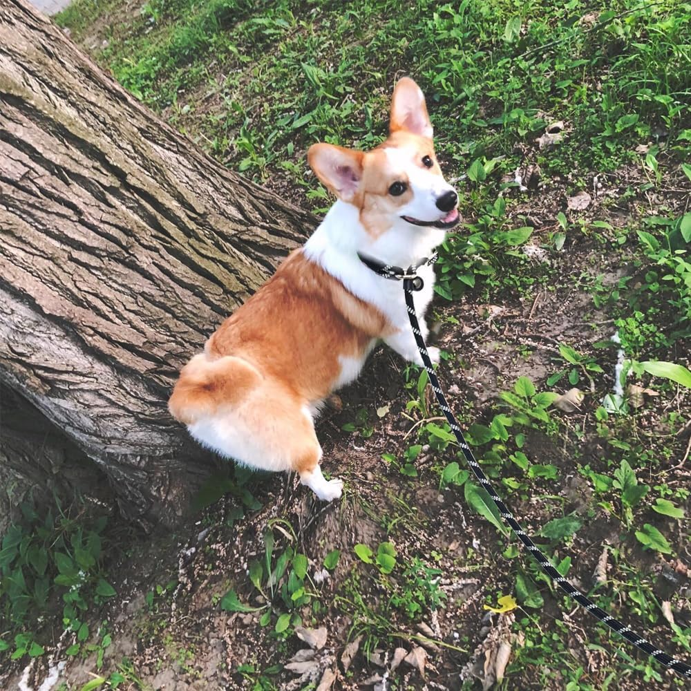 Anti-Choking Long Slip Lead Dog Leash 12FT/20FT/30FT/50FT, Reflective Nylon Rope Training Leash for Medium Small Dogs Outdoor Behavior Active Playing (30Ft, Blue) image number 2