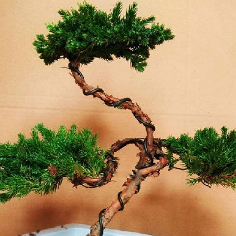 Bonsai Training Wire Aluminum Fastener Plants Styling Tree Pots Garden Yard Tool 1Mm *5M image number 5