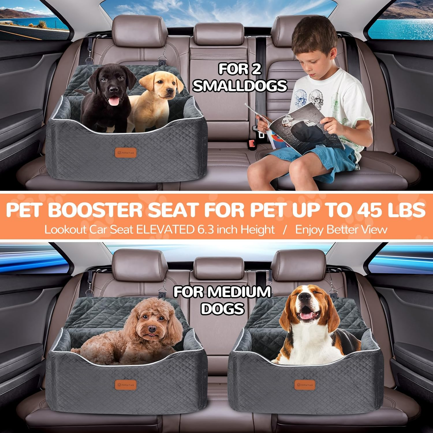 Alfatok Memory Foam Booster Dog Car Seat Medium Dogs, Elevated Pet Car Seat under 45 LBS, Detachable Washable, Anti-Slip Dog Booster Seat for Car Back Seat Only, Travel Dog Car Bed, Dog Seat Belt