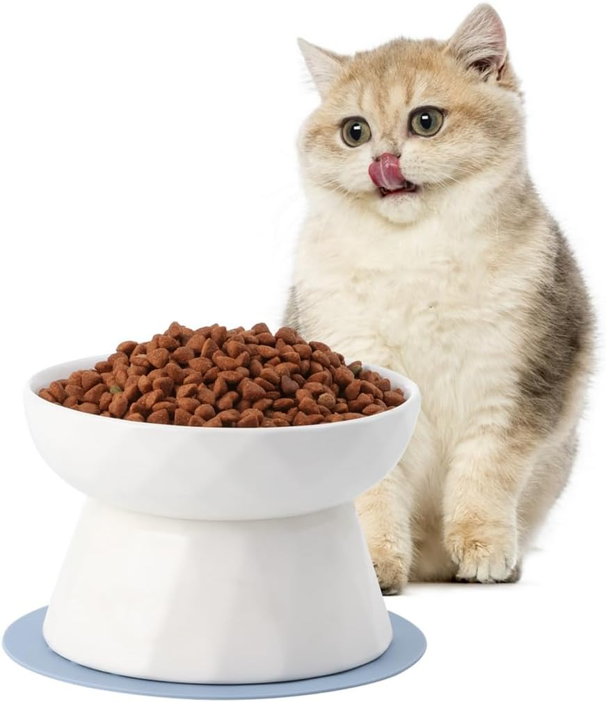 YOFAPA Cat Bowl image number 5