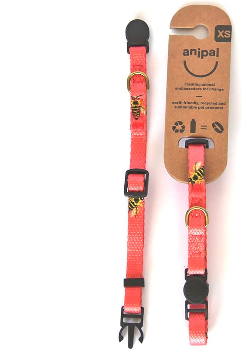 Anipal Bertie the Bee Cat Collar - XS - Made from Recycled Plastic Bottles image number 3