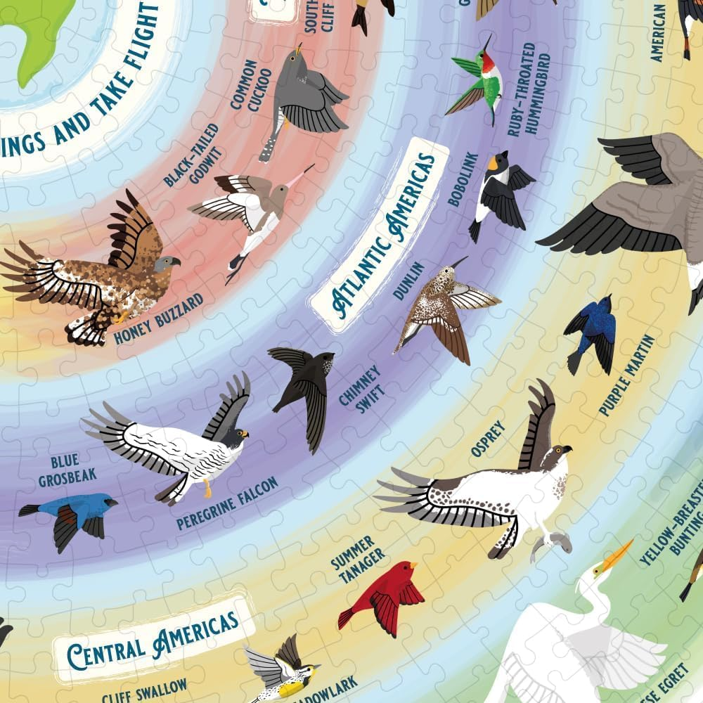 Ridleys Bird Lover'S Jigsaw Puzzle, 55 X 0.02 X 70 Cm (1000 Pieces) image number 6