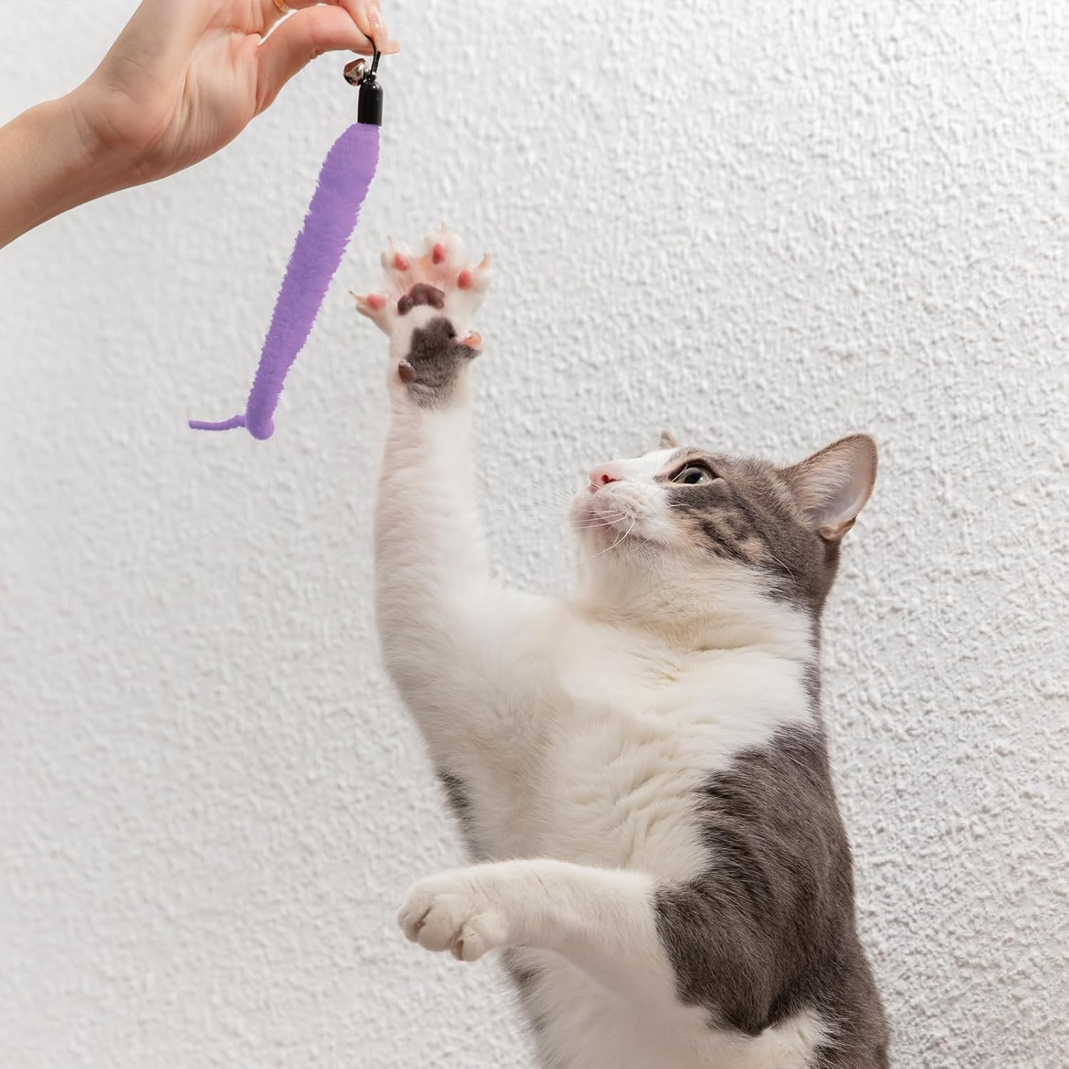 WELANE Cat Worm Toy Refills, 10 PCS Assorted Colors Worm Cat Interactive Toy for Teaser Replacement image number 1